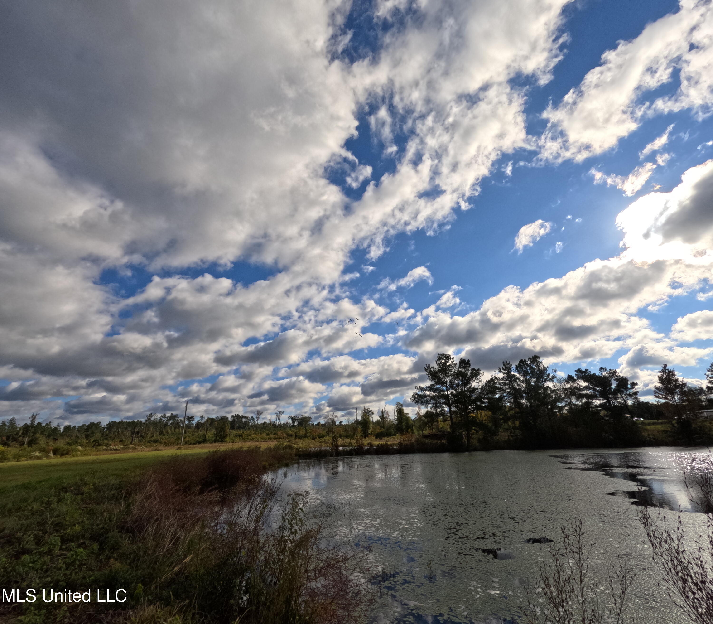 William Warren Road Property Photo 84