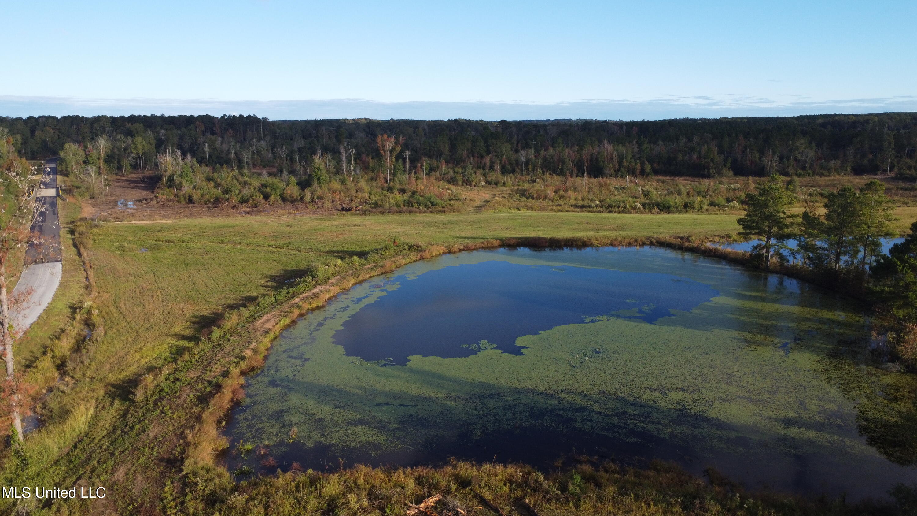 William Warren Road Property Photo 85