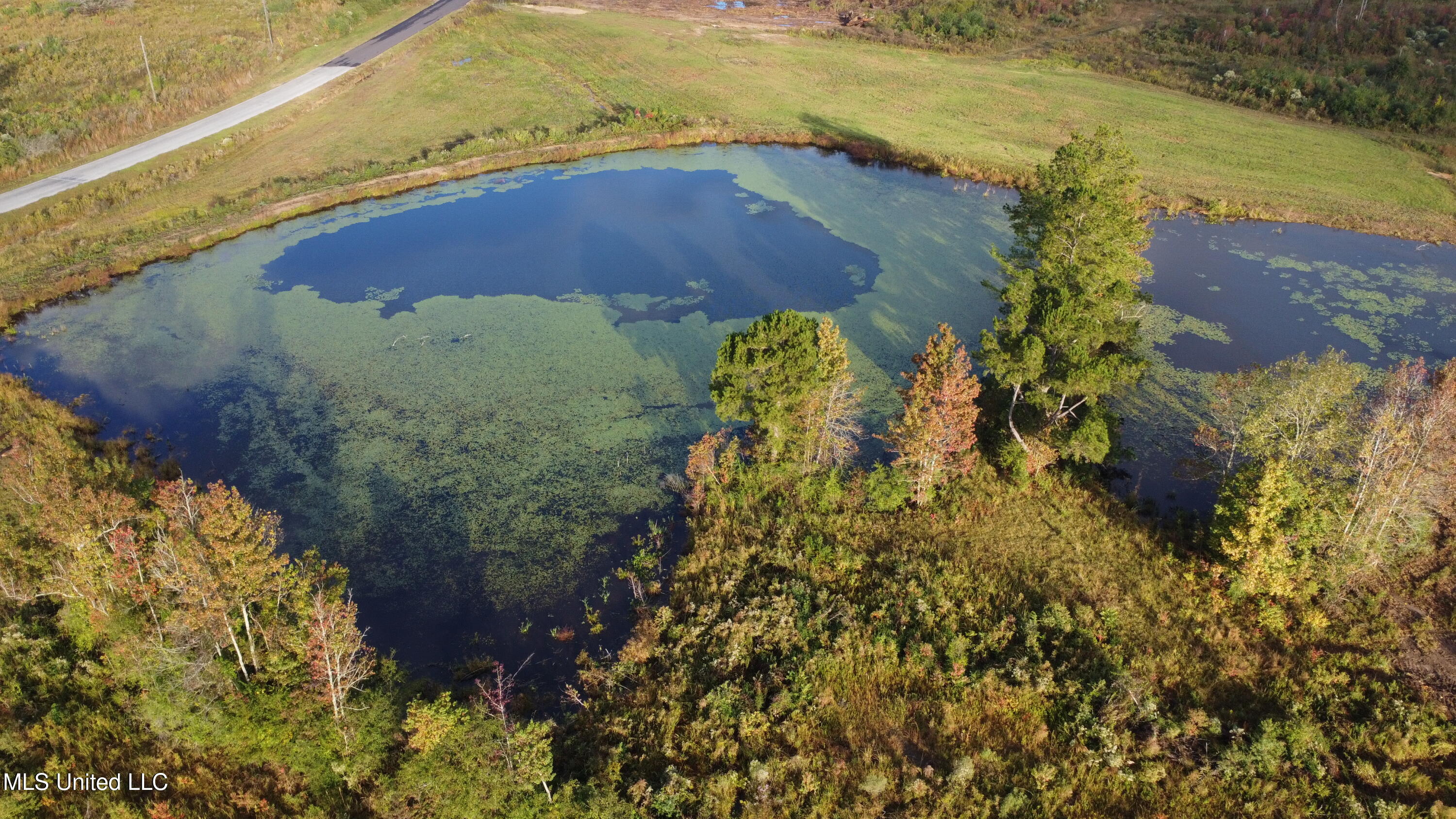 William Warren Road Property Photo 86