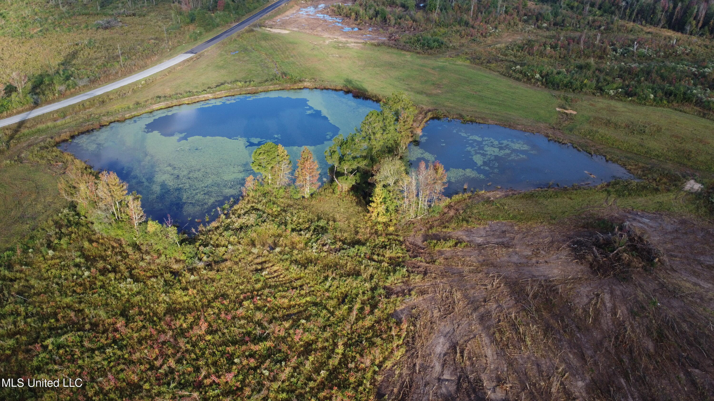 William Warren Road Property Photo 87