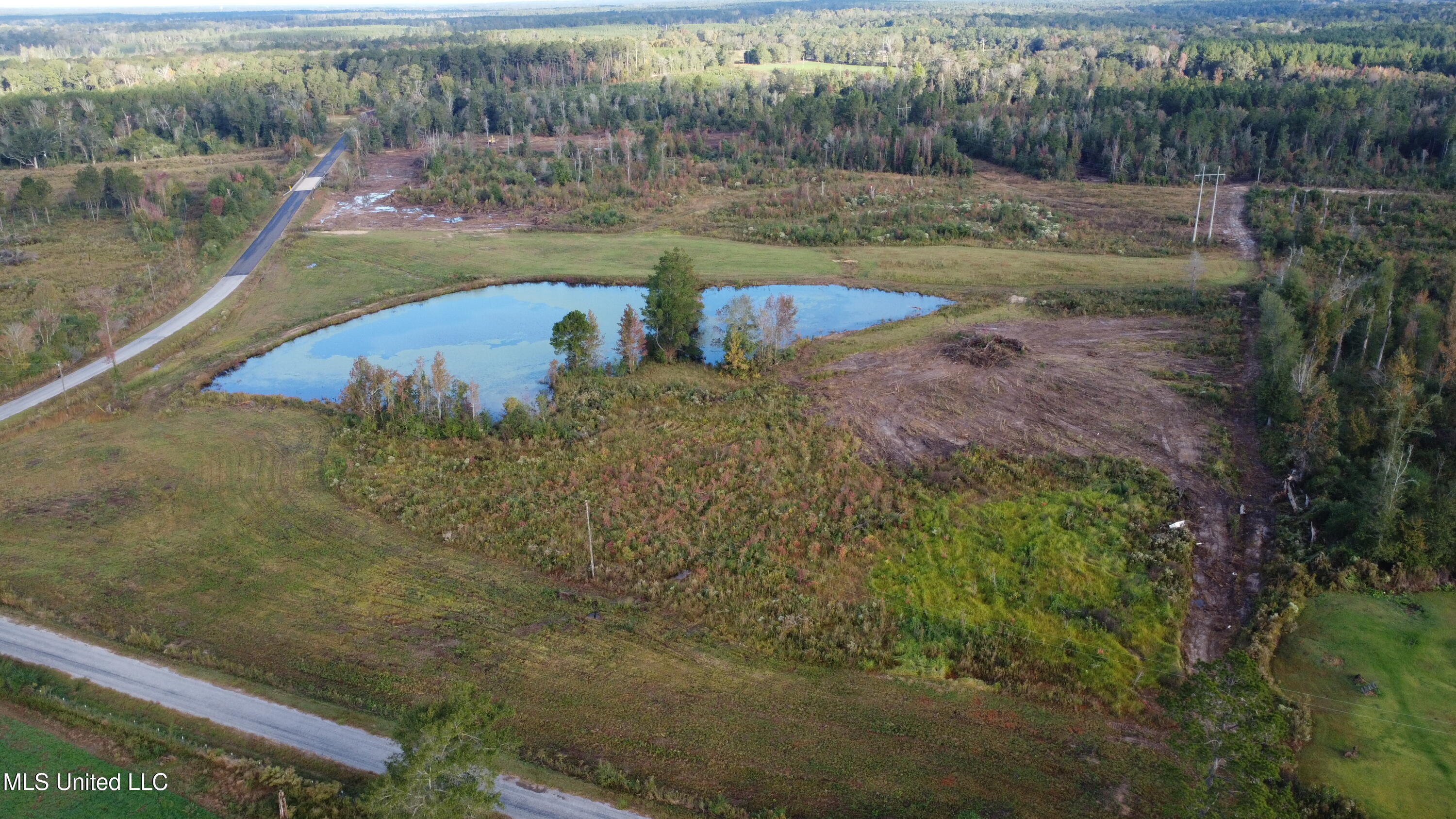 William Warren Road Property Photo 88