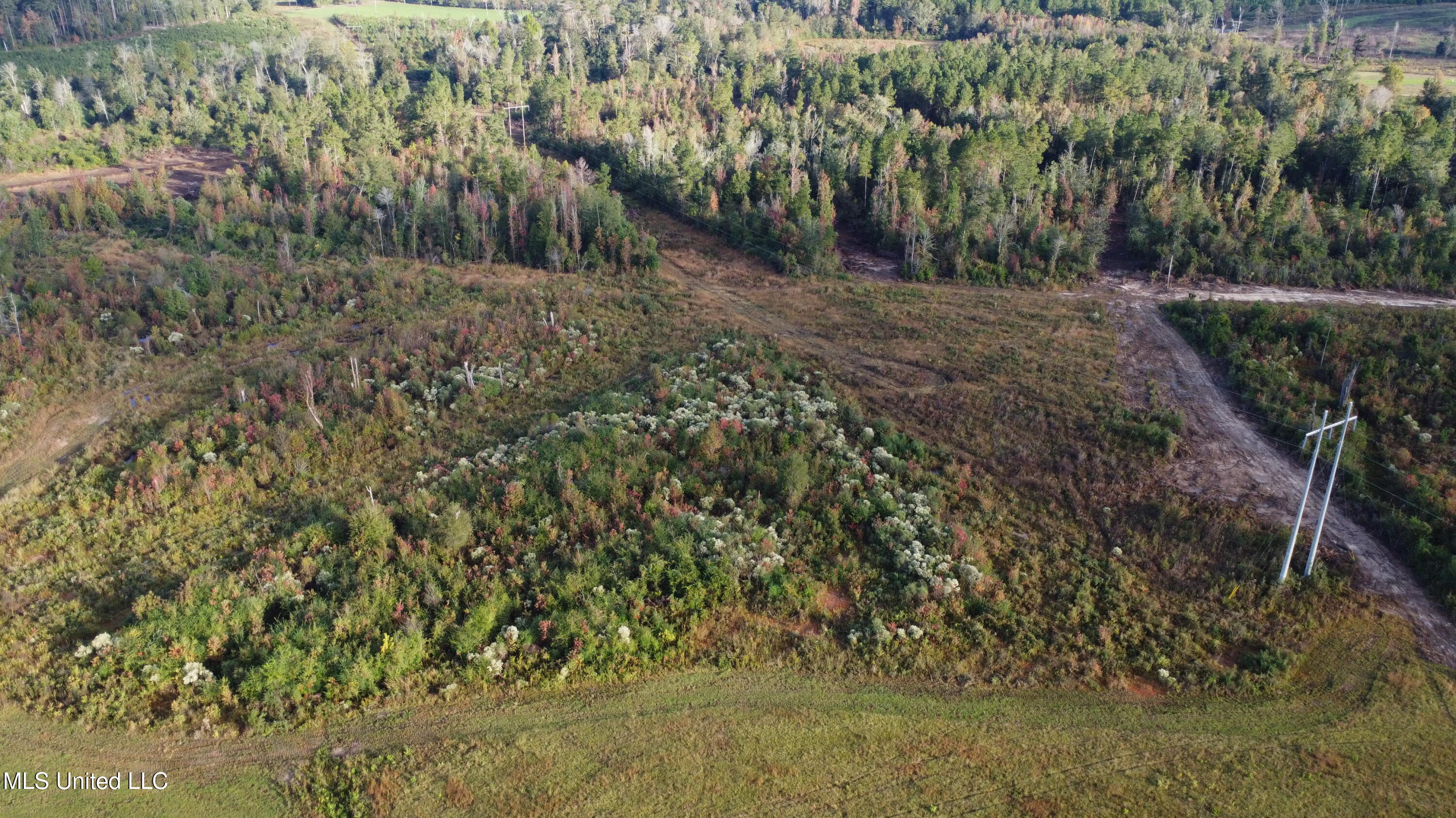 William Warren Road Property Photo 89