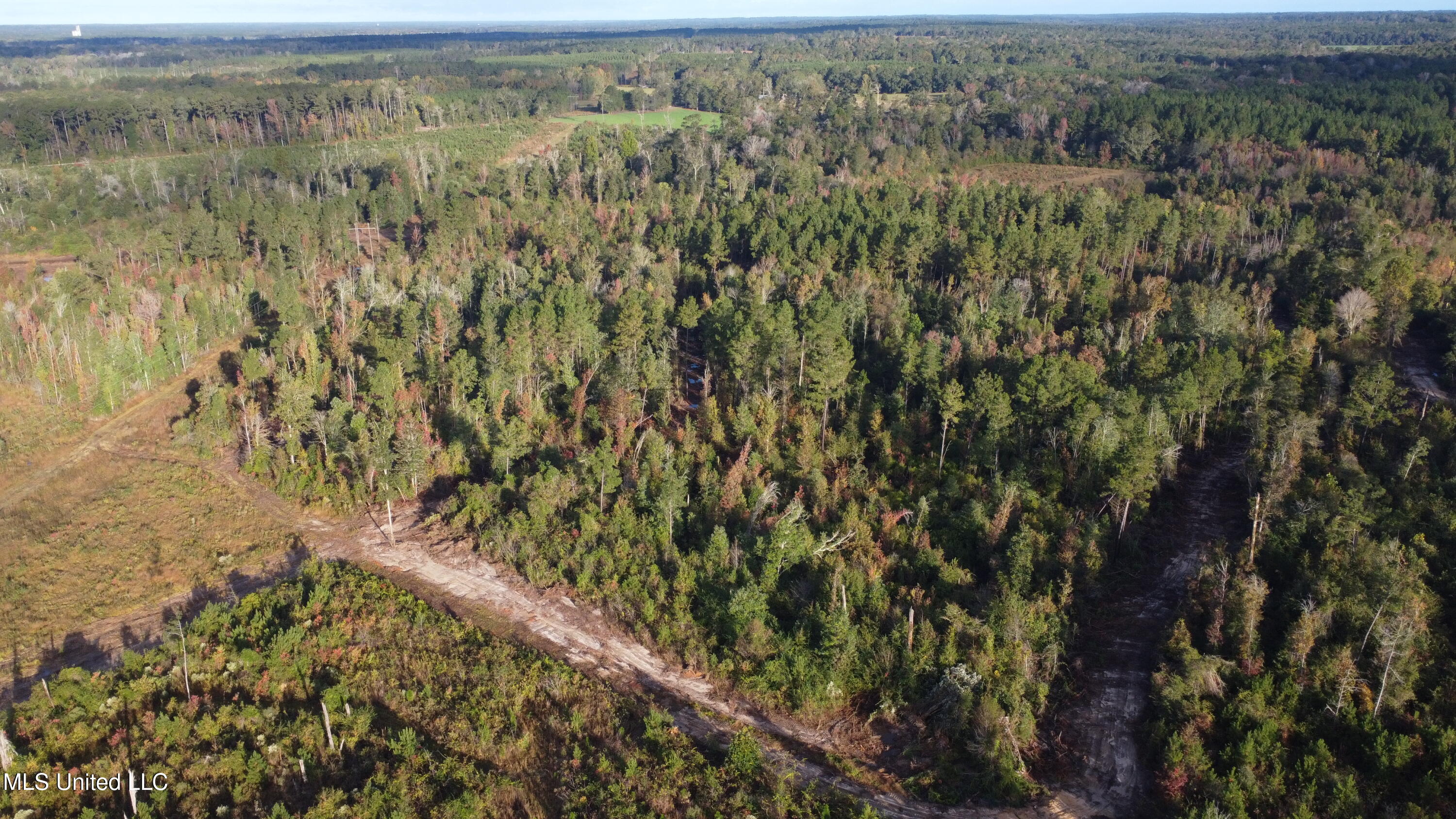 William Warren Road Property Photo 90