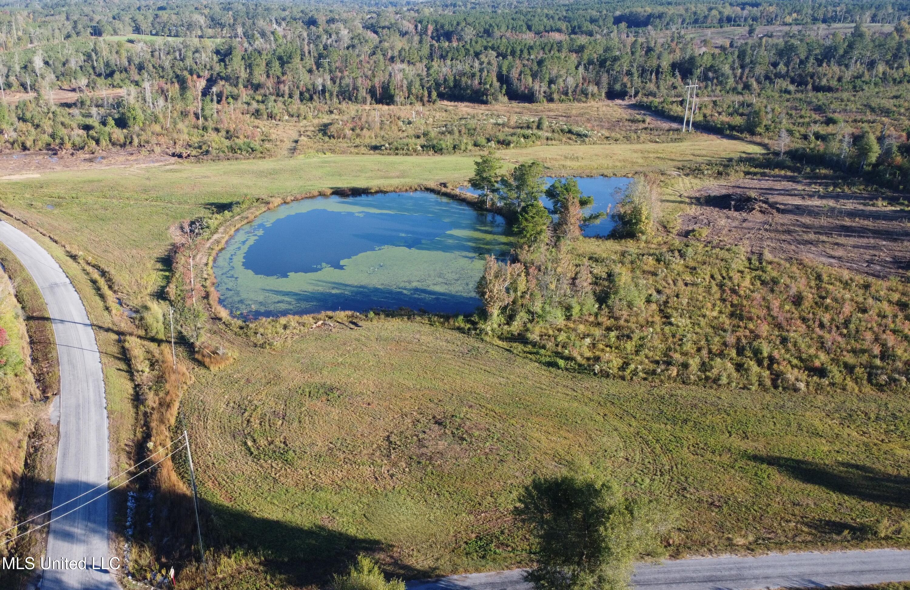 William Warren Road Property Photo 95