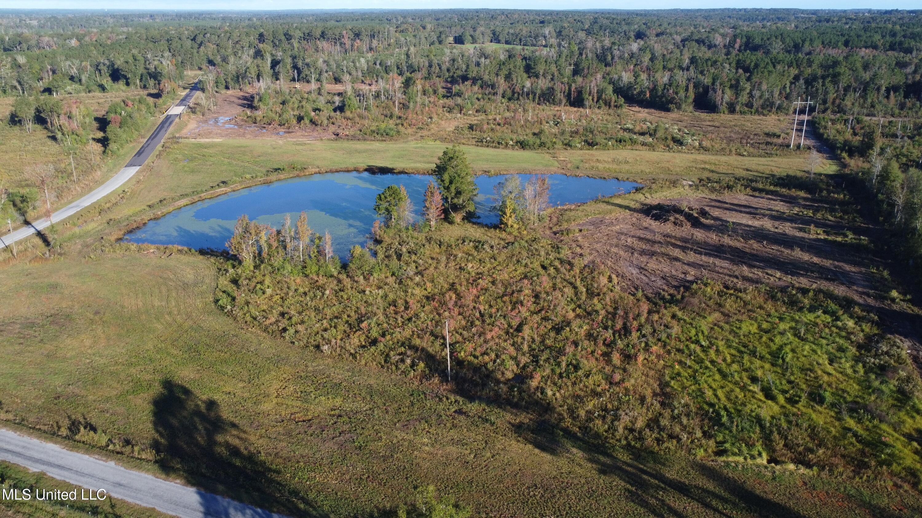 William Warren Road Property Photo 96