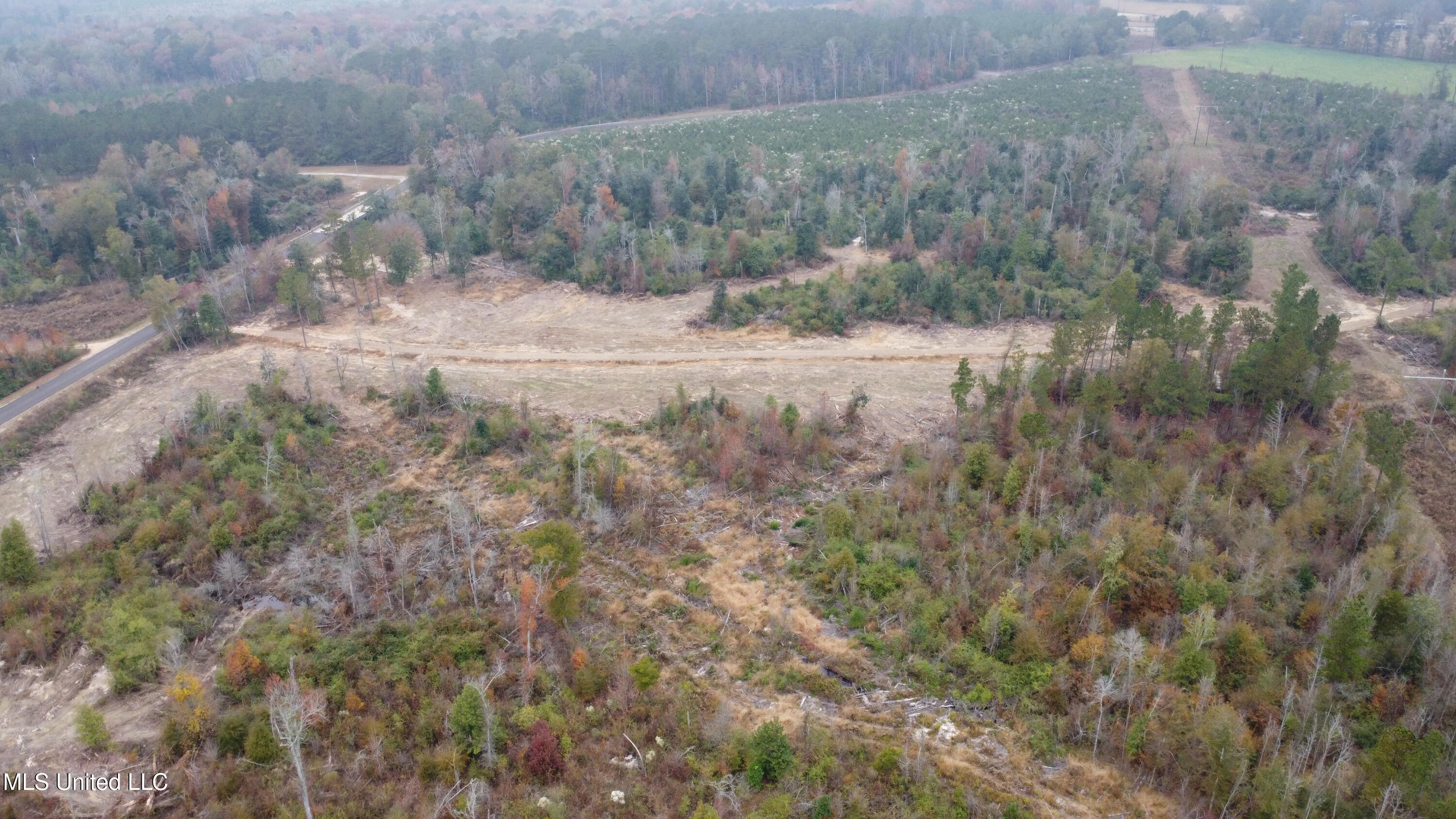 William Warren Road Property Photo 97