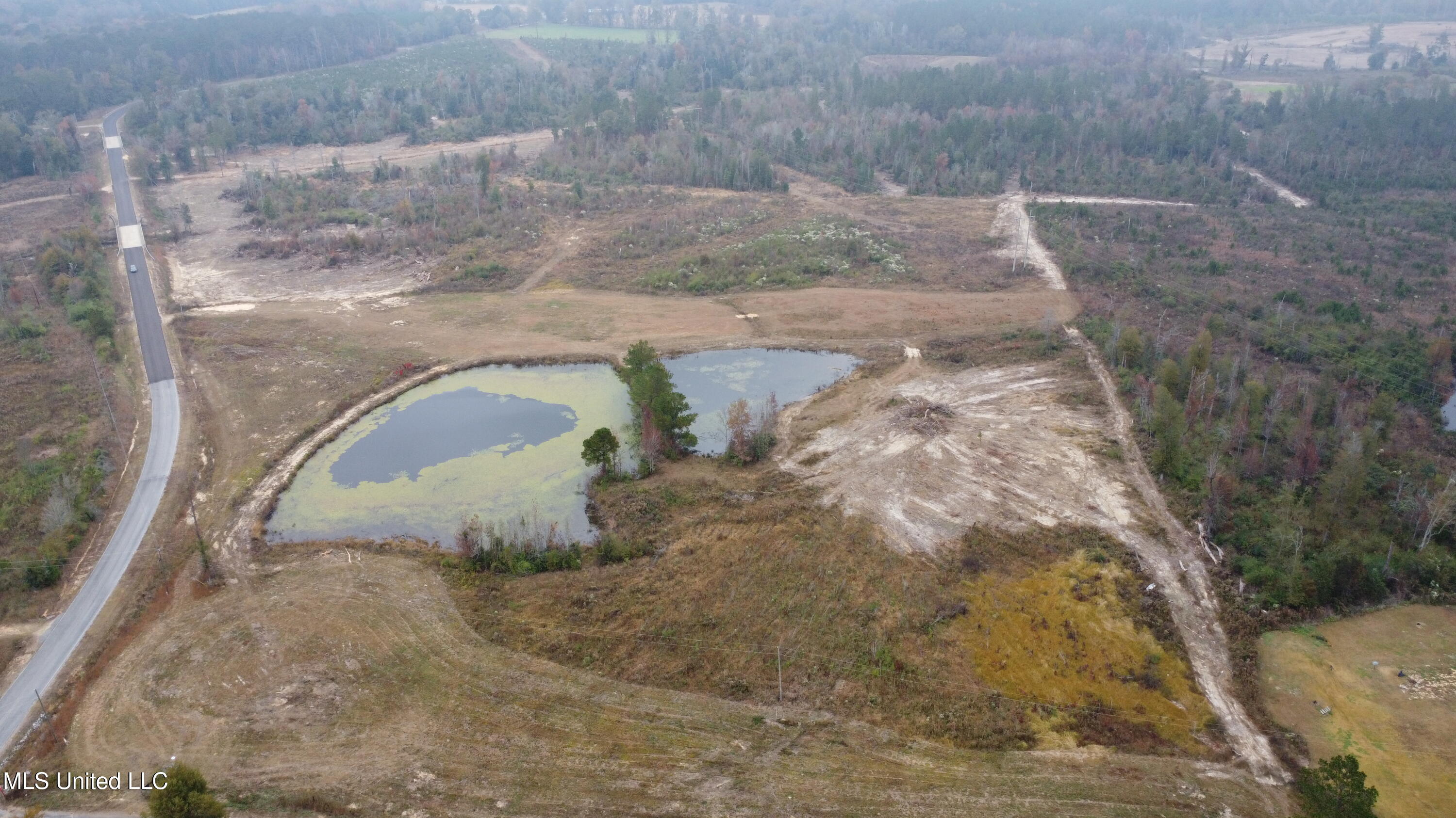 William Warren Road Property Photo 98