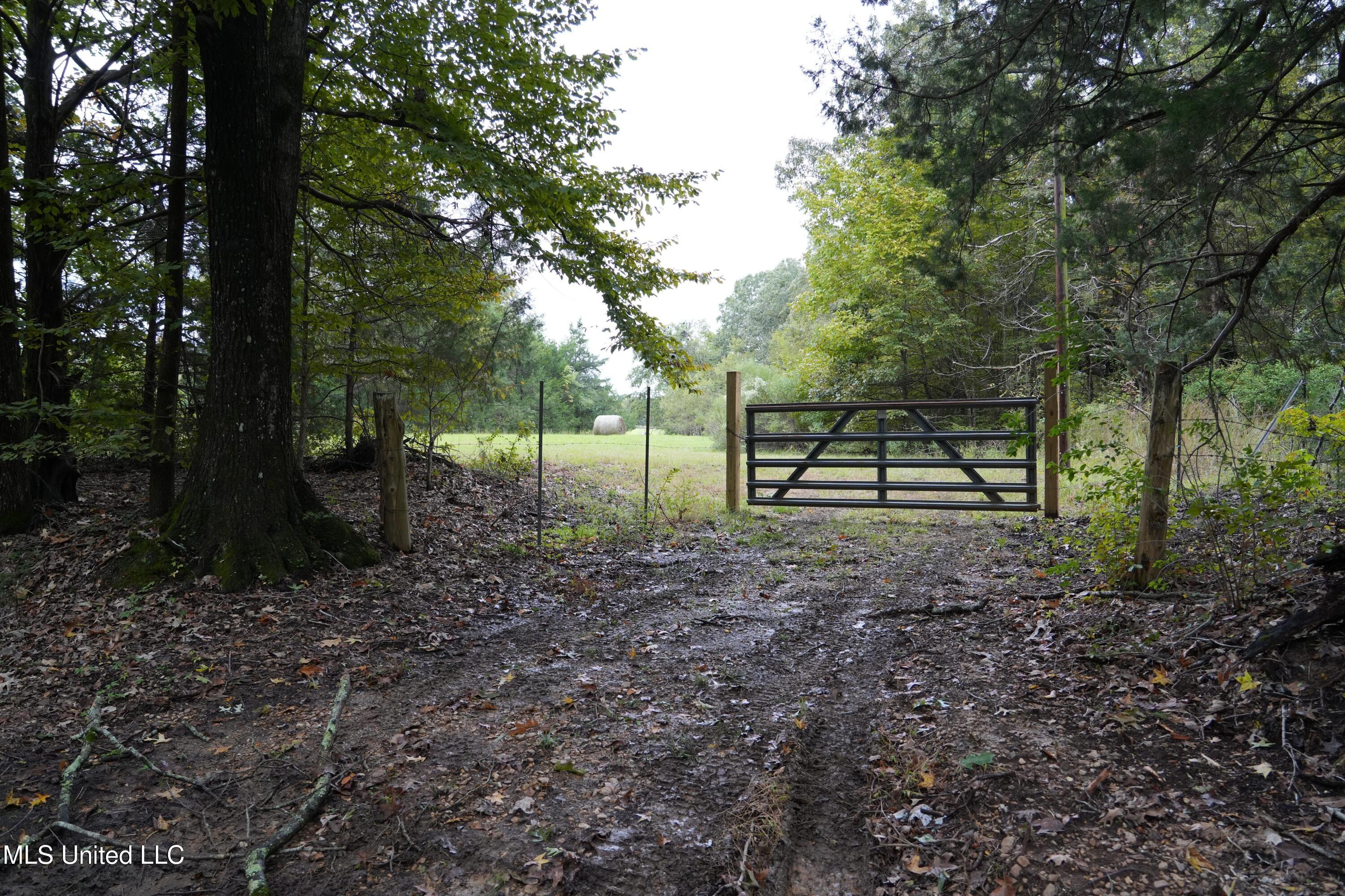 00 Phoenix Road Property Photo 2