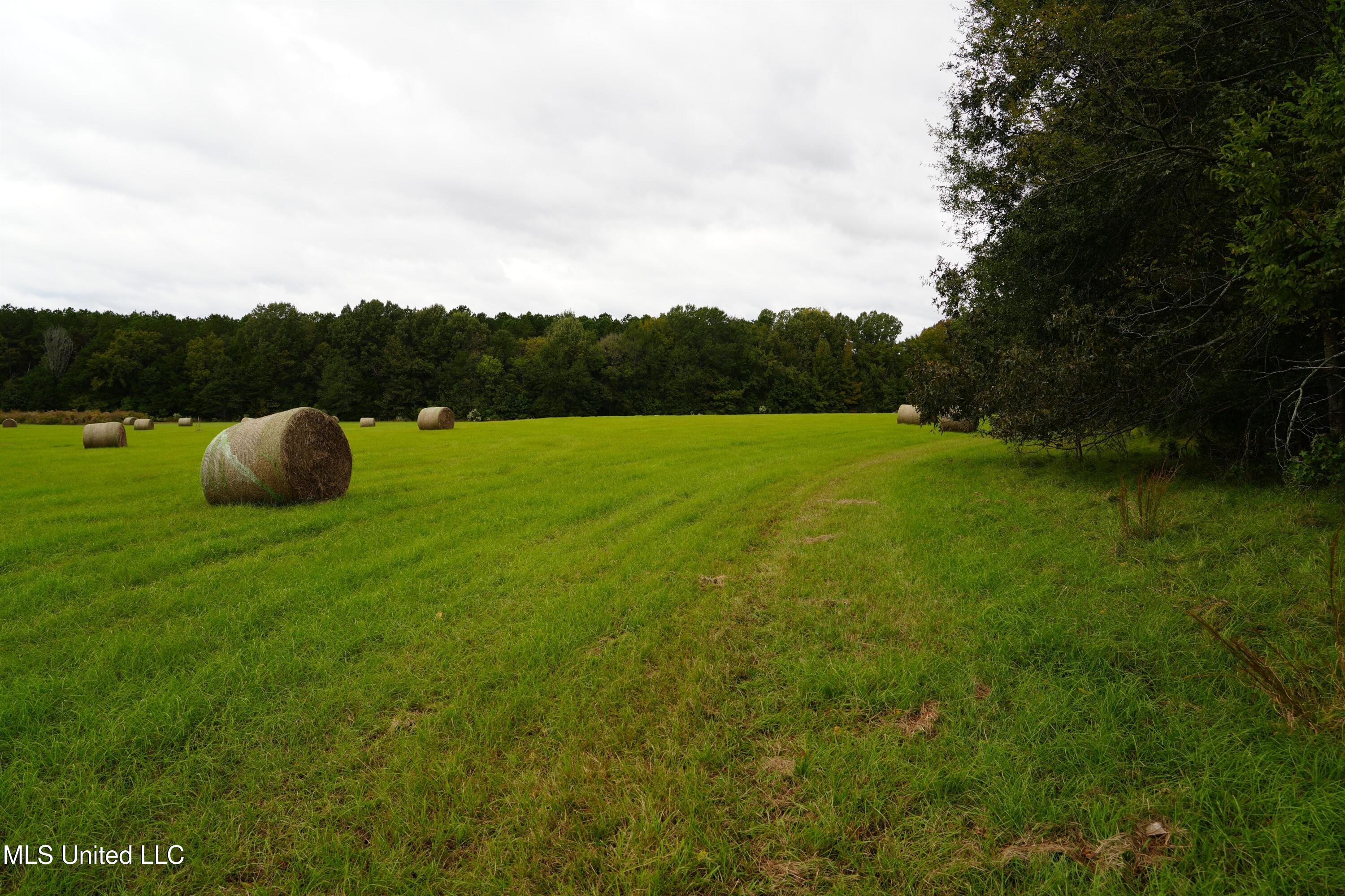 00 Phoenix Road Property Photo 4