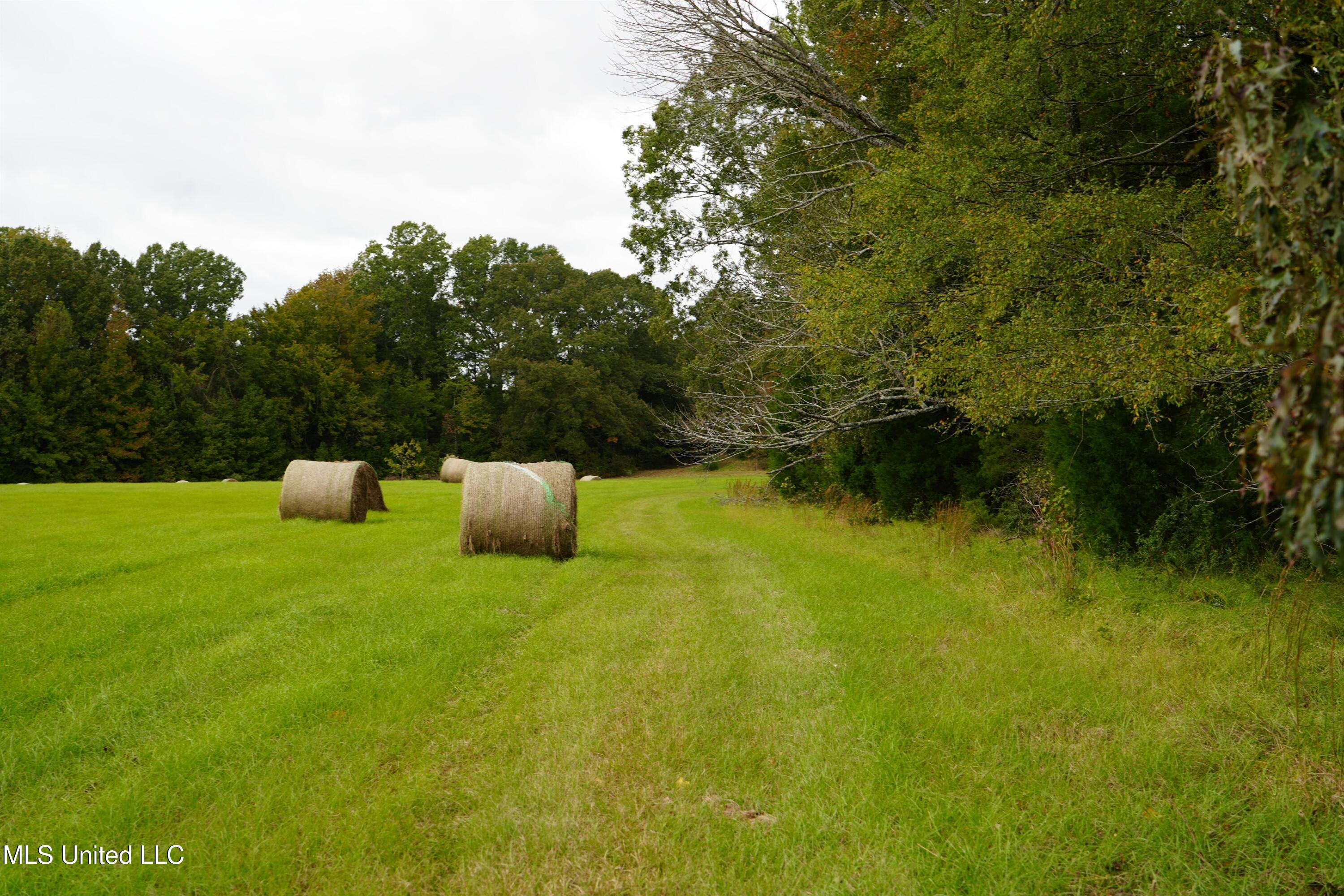 00 Phoenix Road Property Photo 5