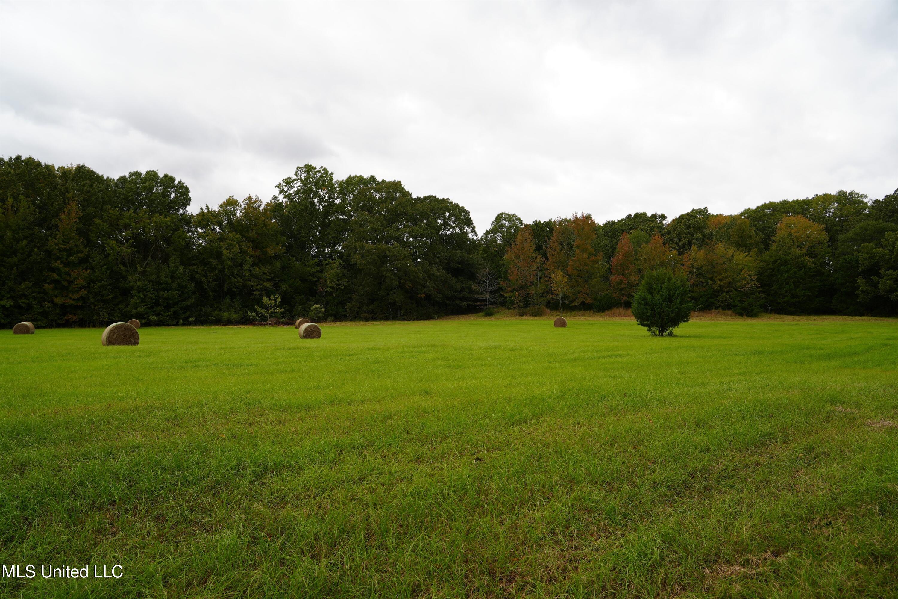 00 Phoenix Road Property Photo 6