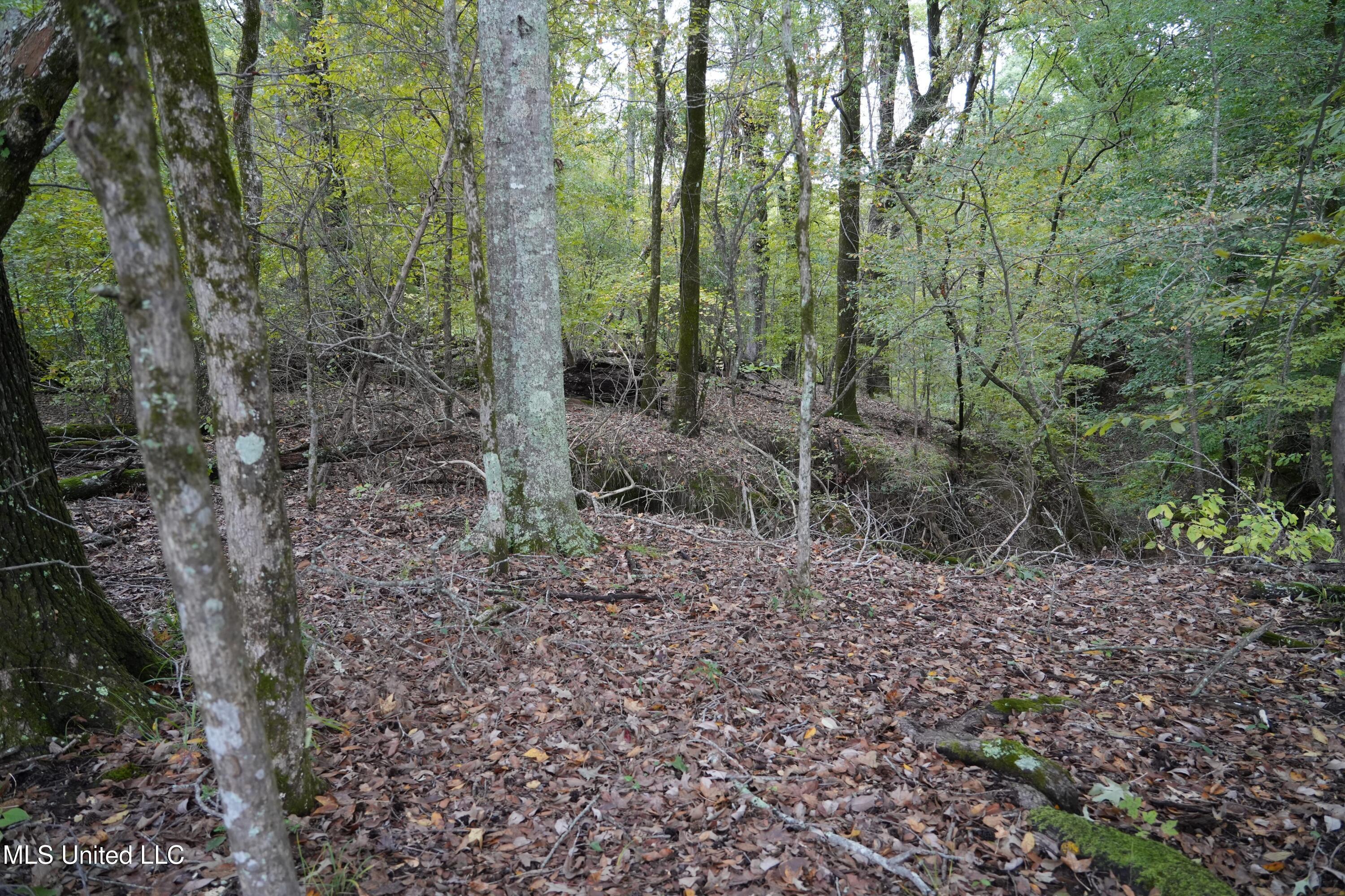 00 Phoenix Road Property Photo 7