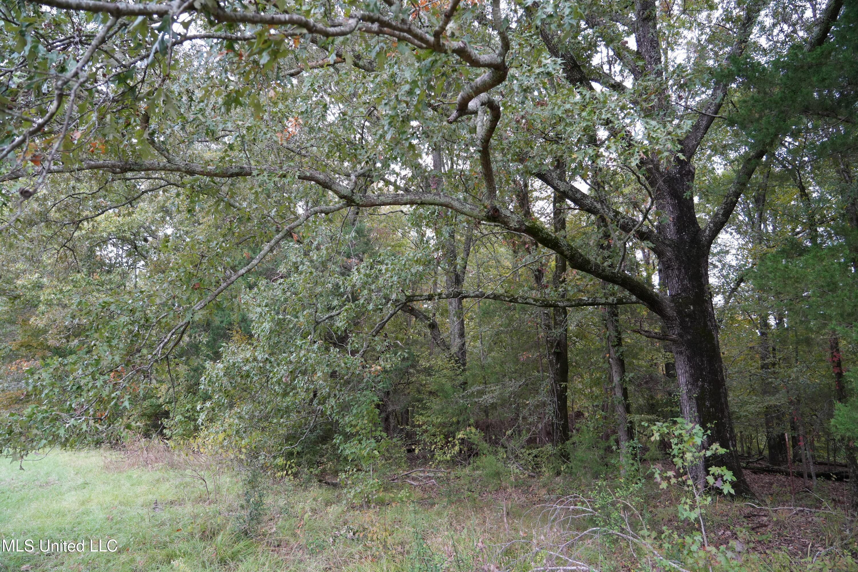 00 Phoenix Road Property Photo 8