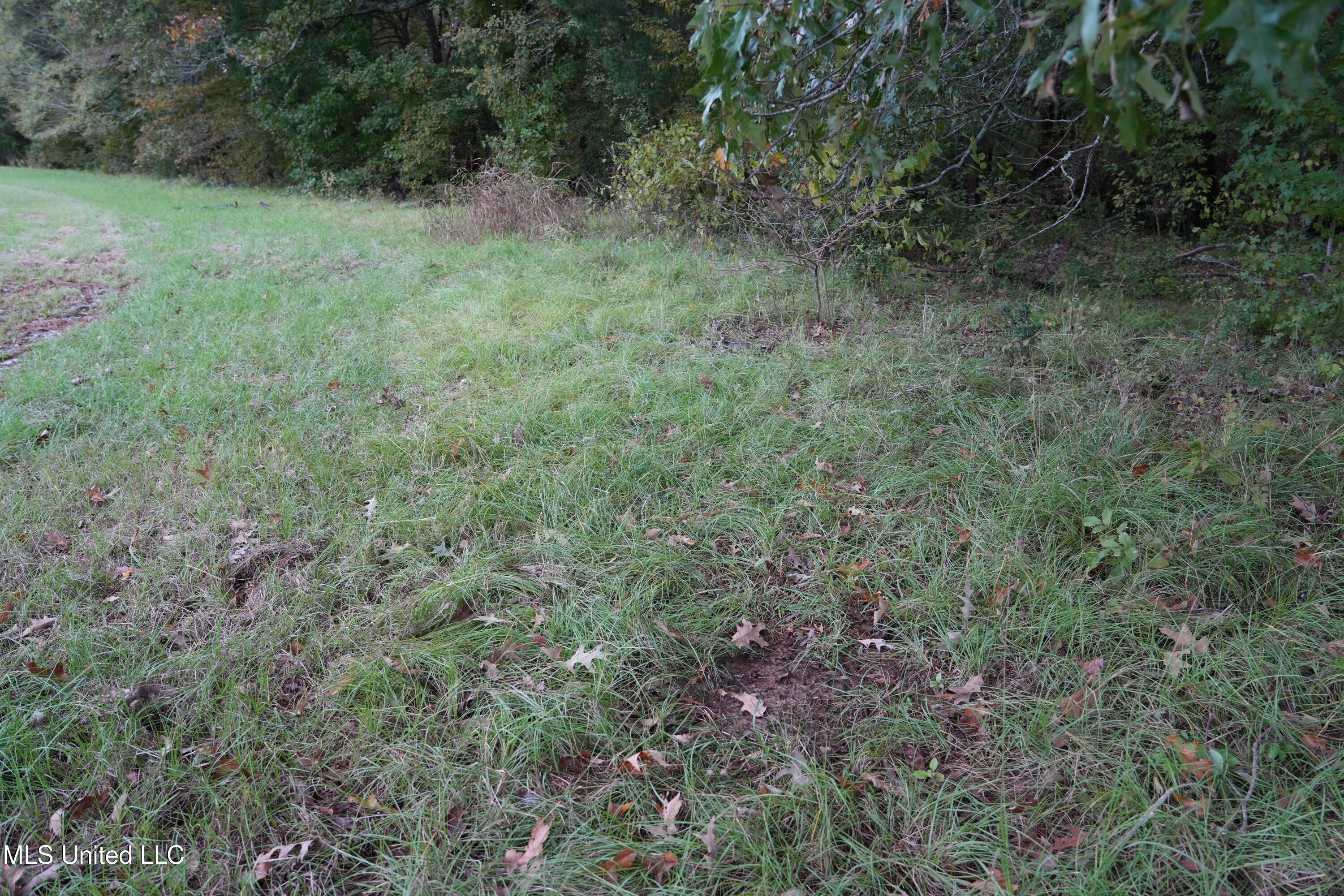 00 Phoenix Road Property Photo 9