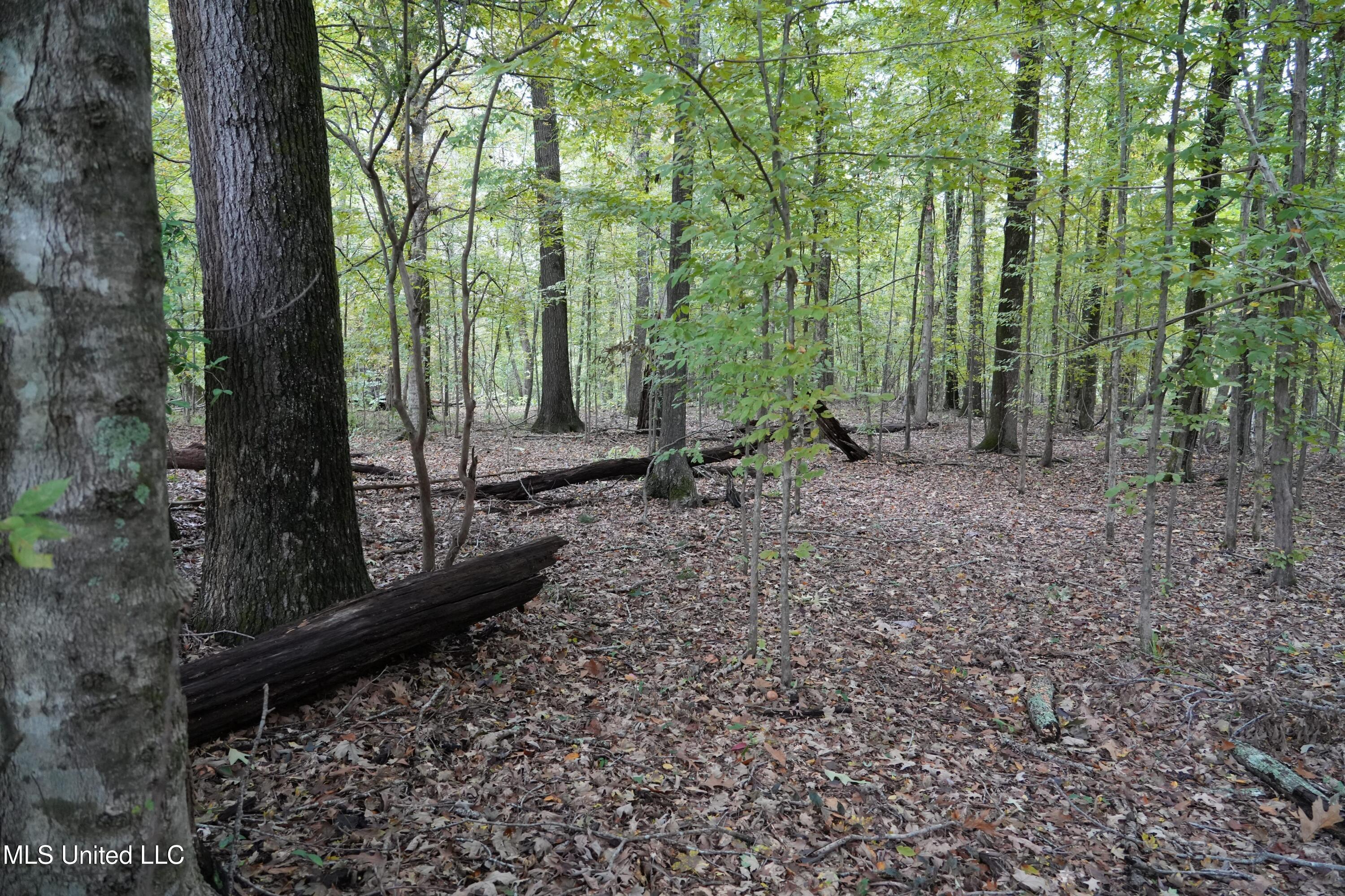 00 Phoenix Road Property Photo 10