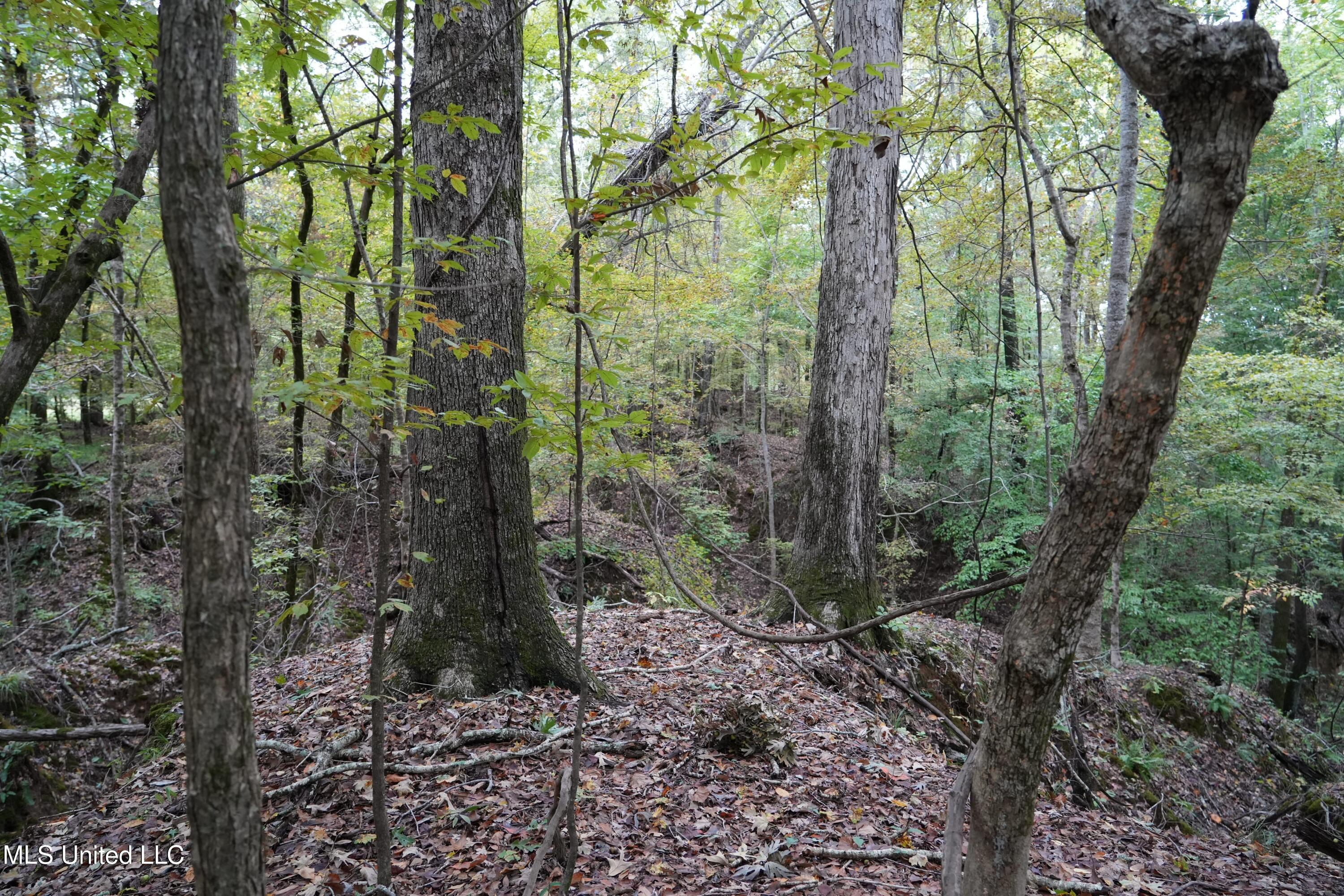 00 Phoenix Road Property Photo 11