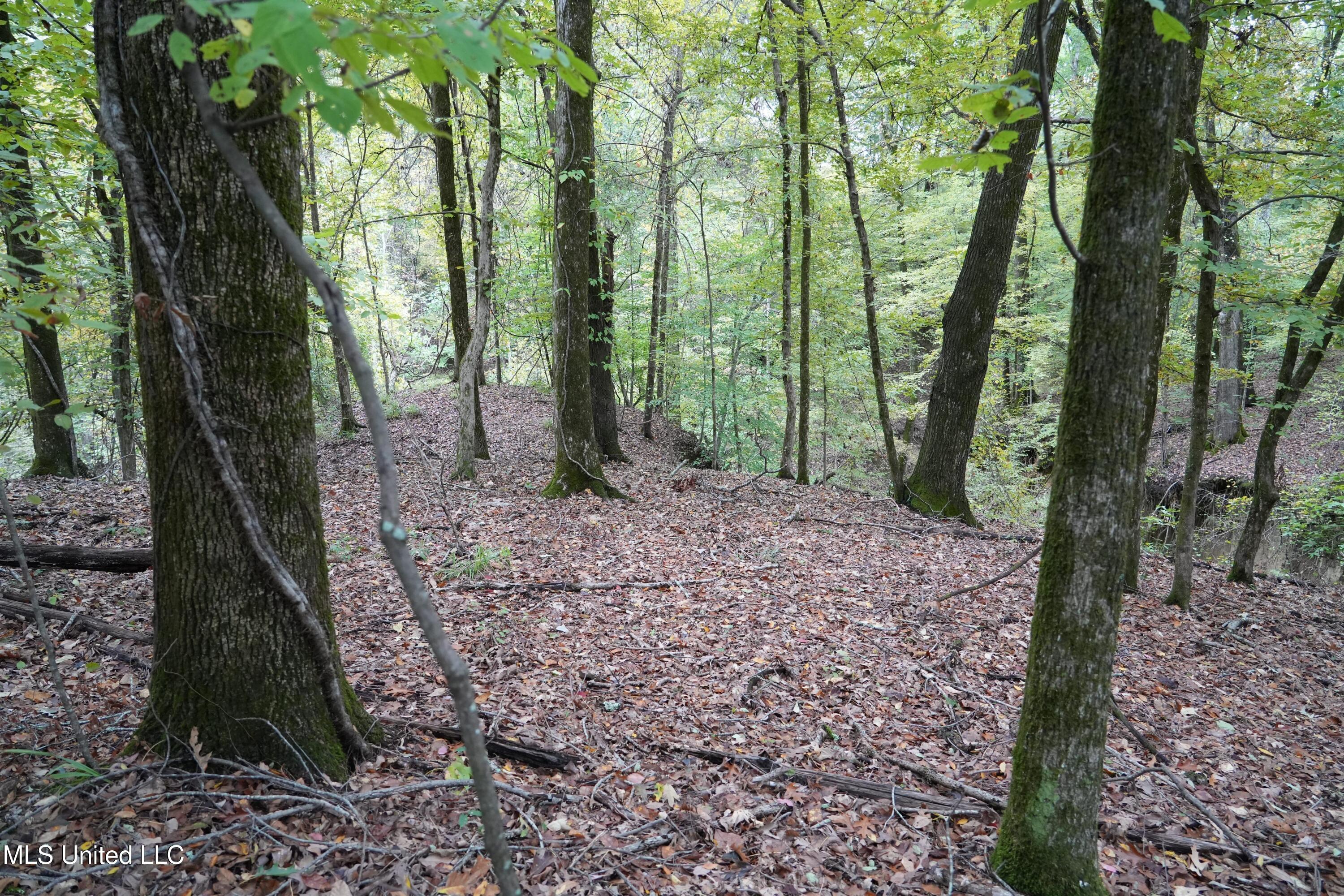 00 Phoenix Road Property Photo 12