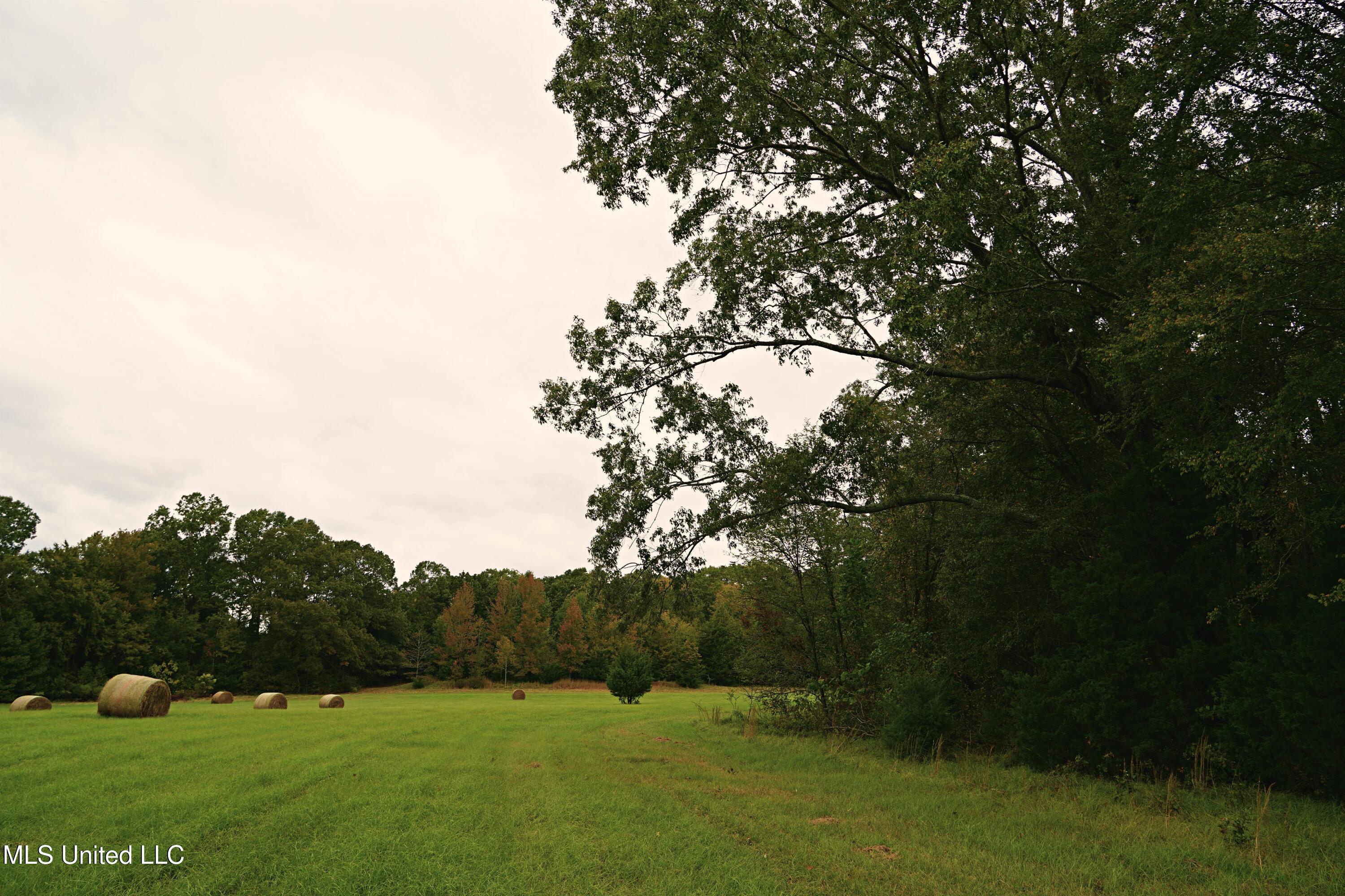 00 Phoenix Road Property Photo 14