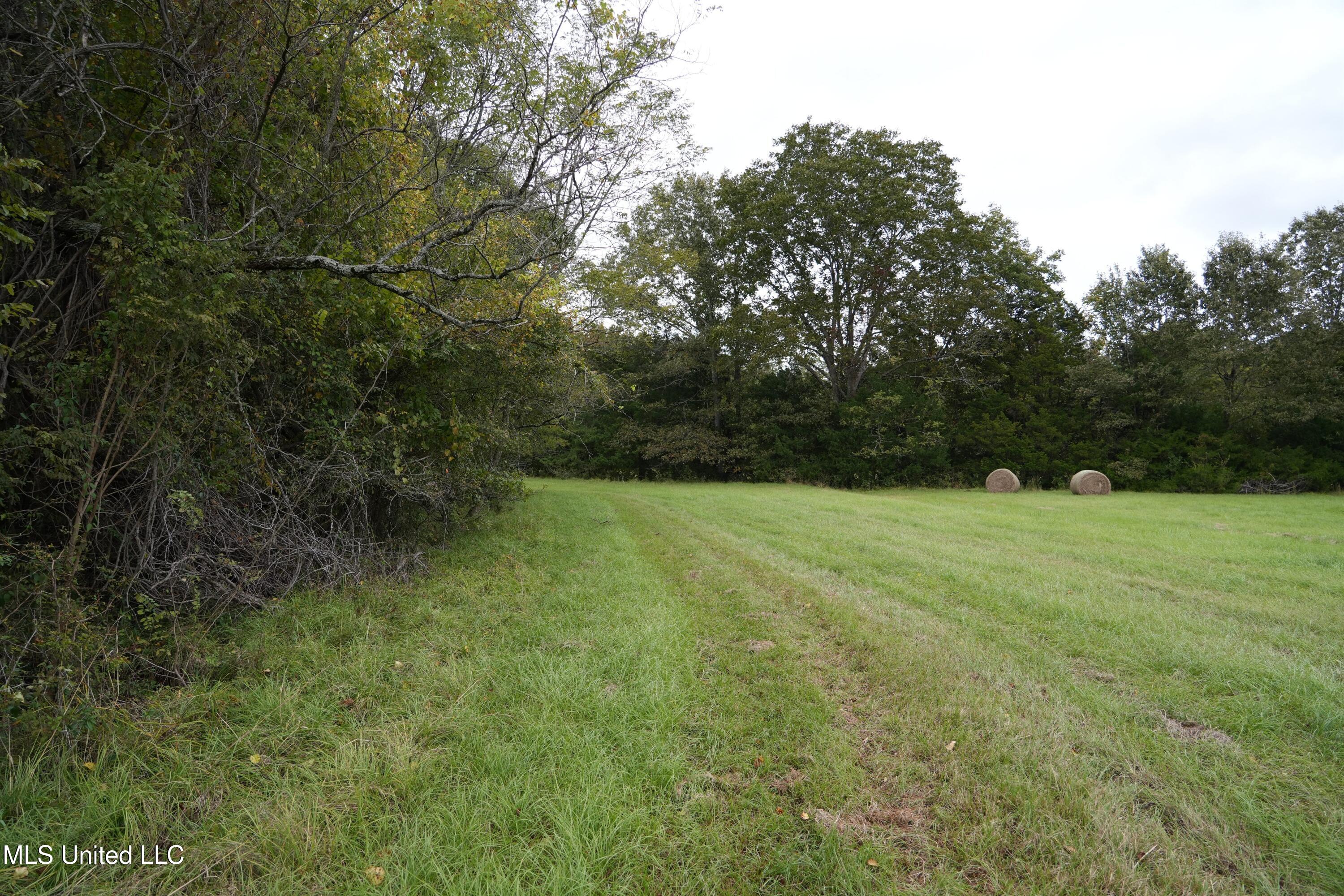 00 Phoenix Road Property Photo 15