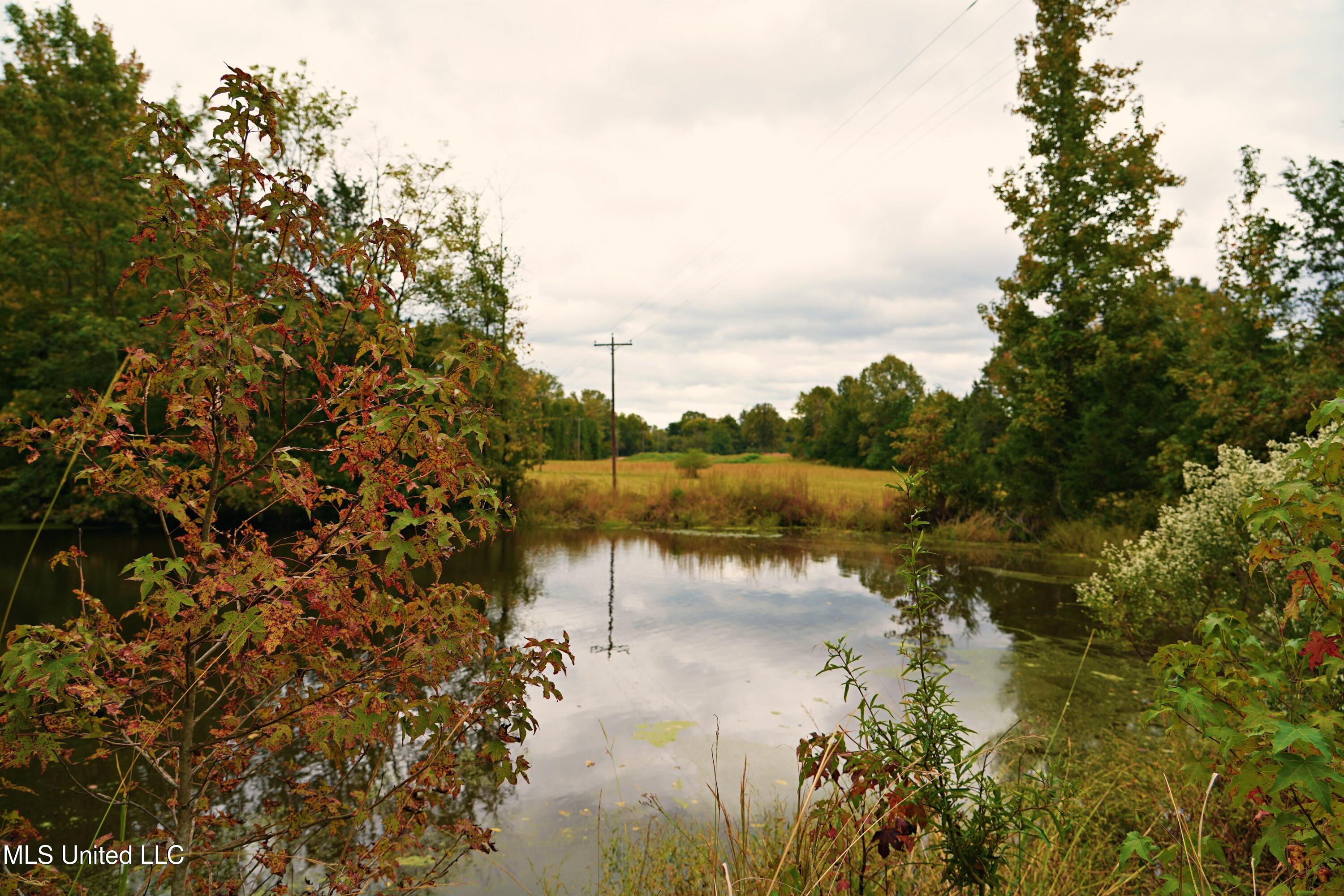 00 Phoenix Road Property Photo 17
