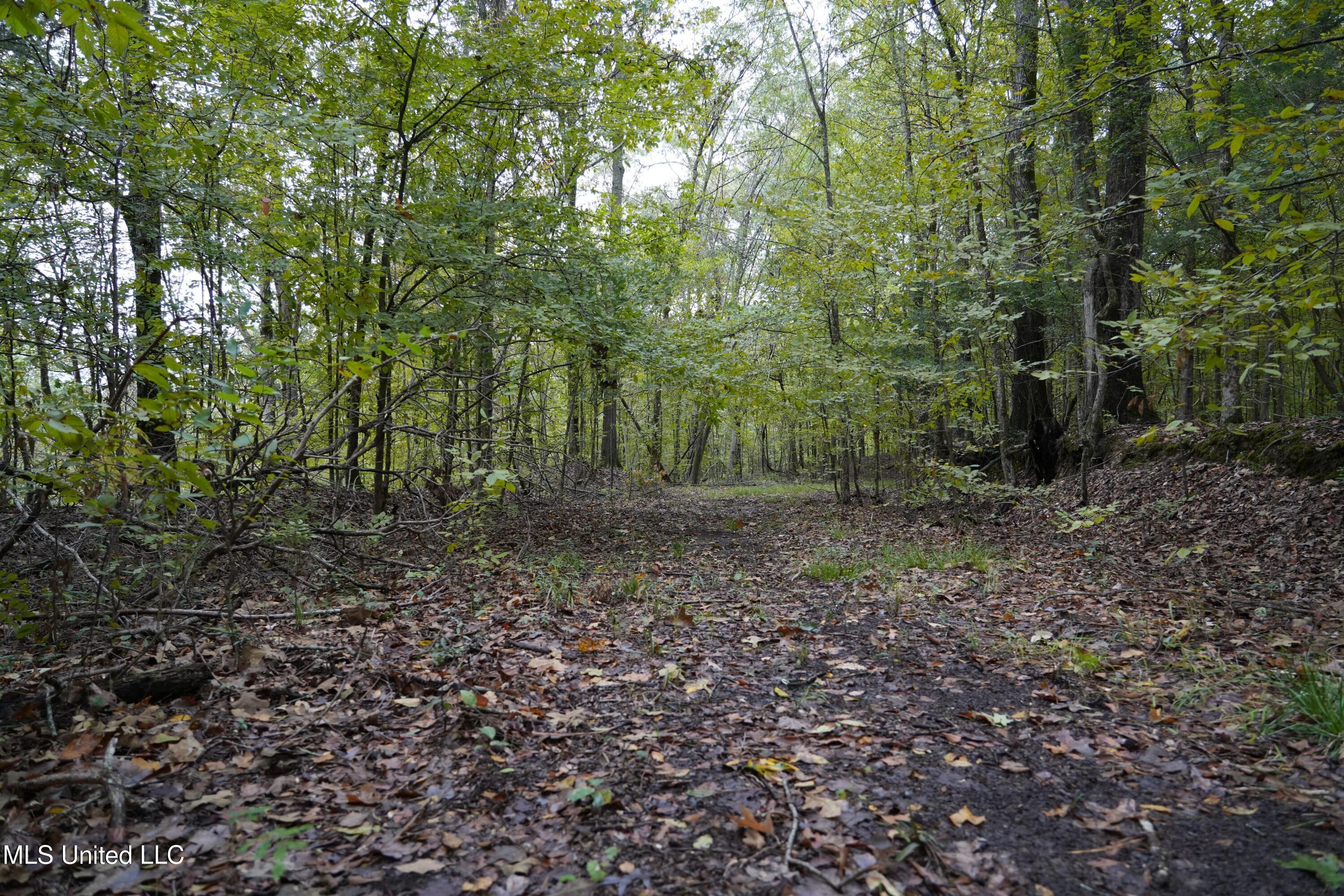 00 Phoenix Road Property Photo 20