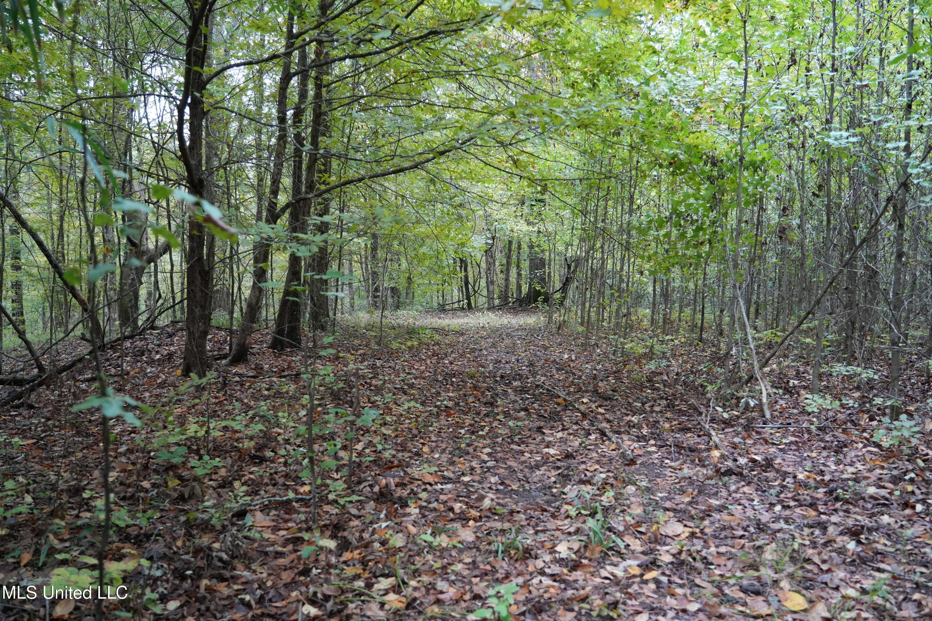 00 Phoenix Road Property Photo 21