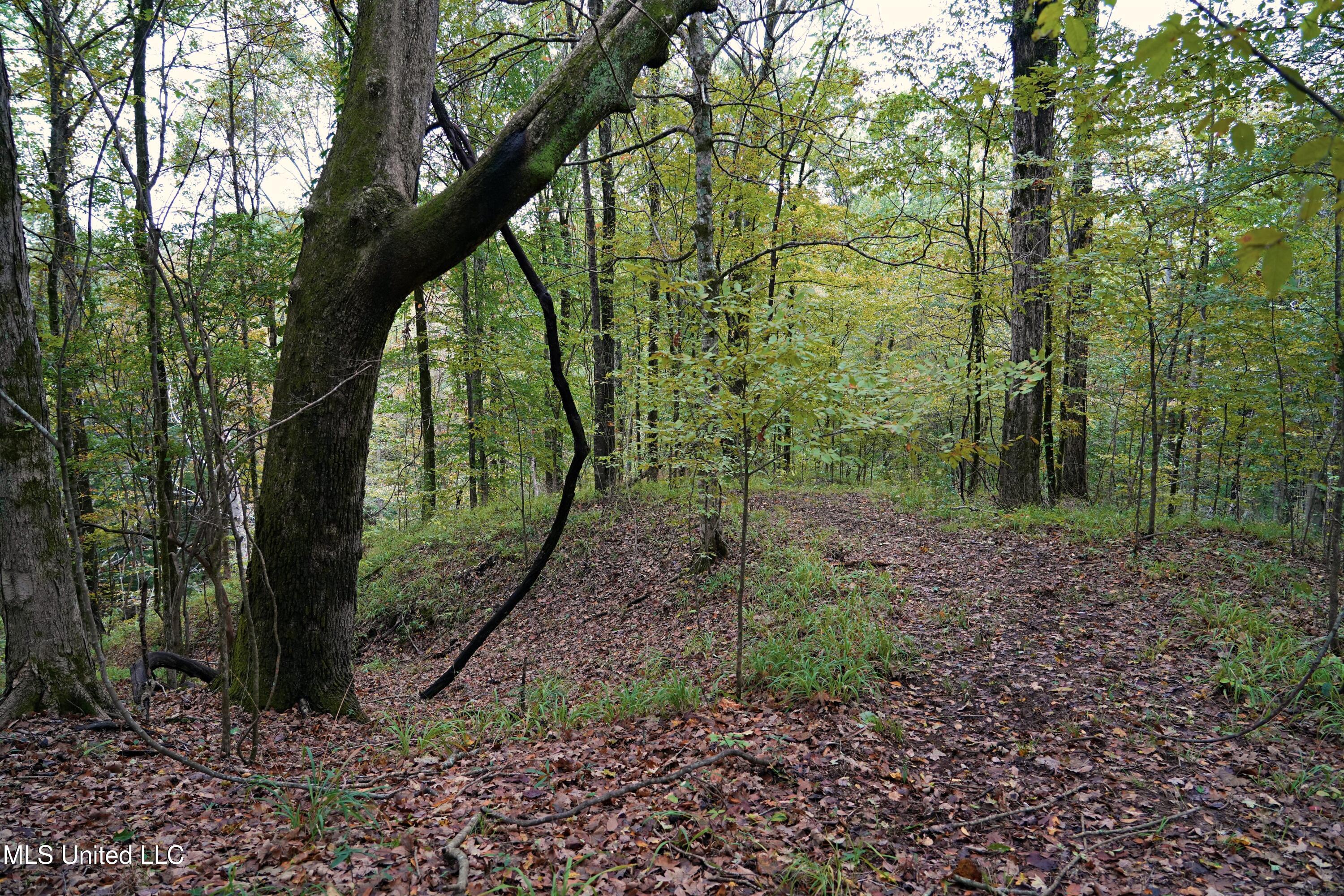 00 Phoenix Road Property Photo 22