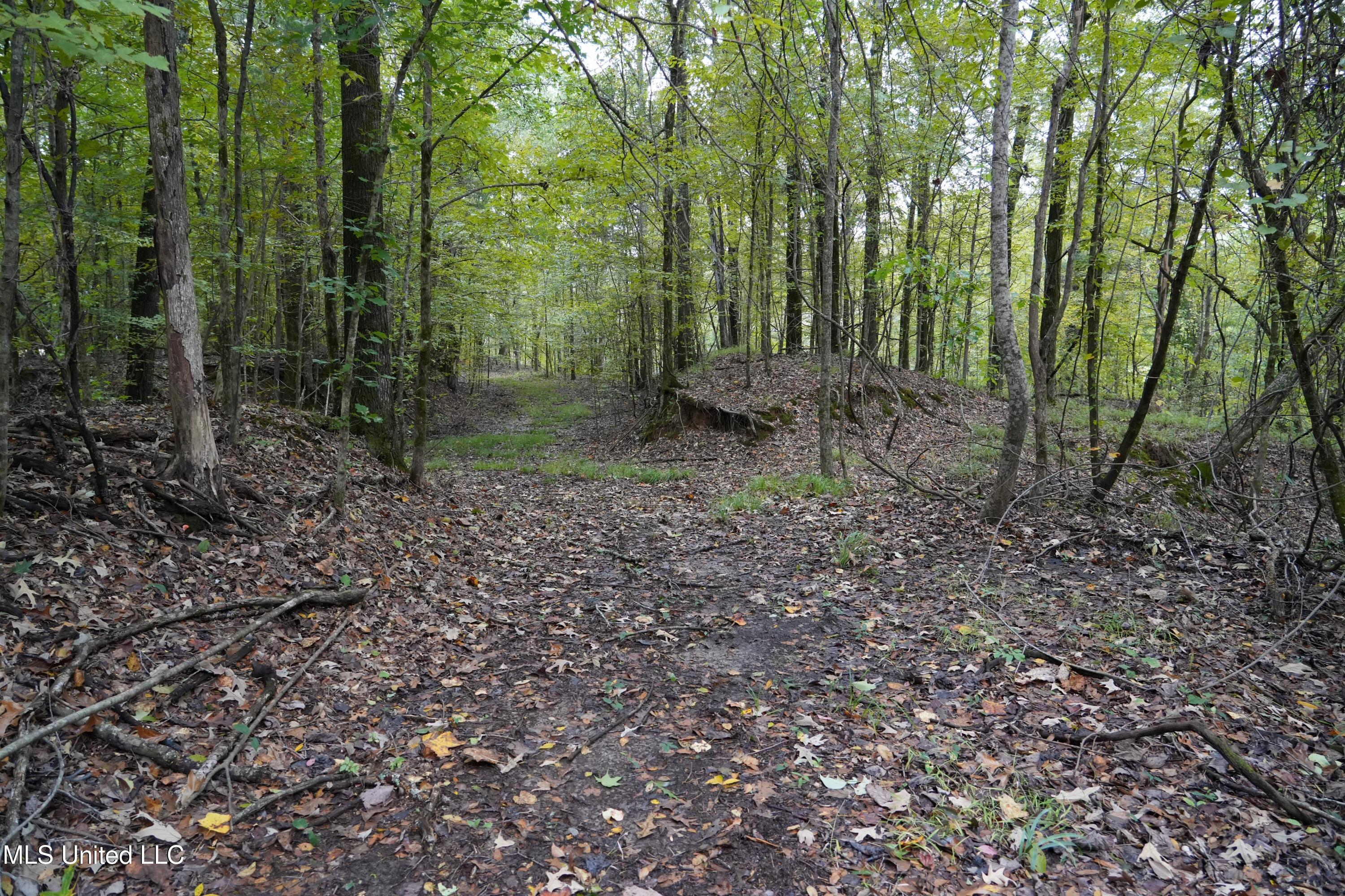 00 Phoenix Road Property Photo 23