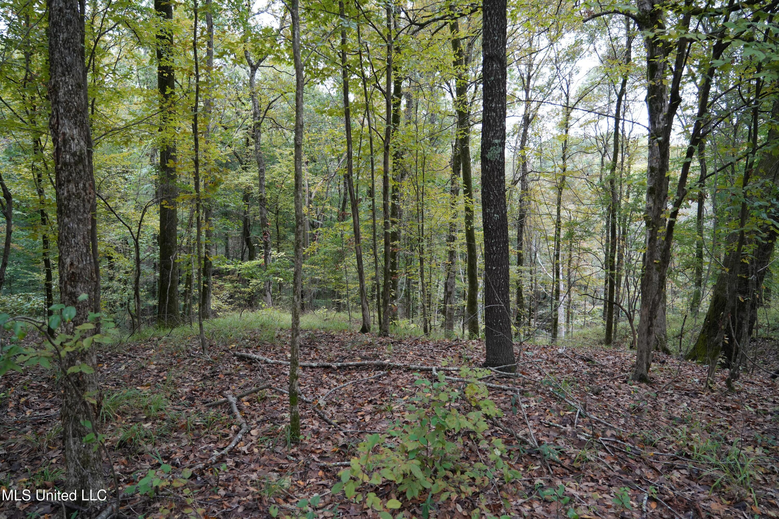 00 Phoenix Road Property Photo 24