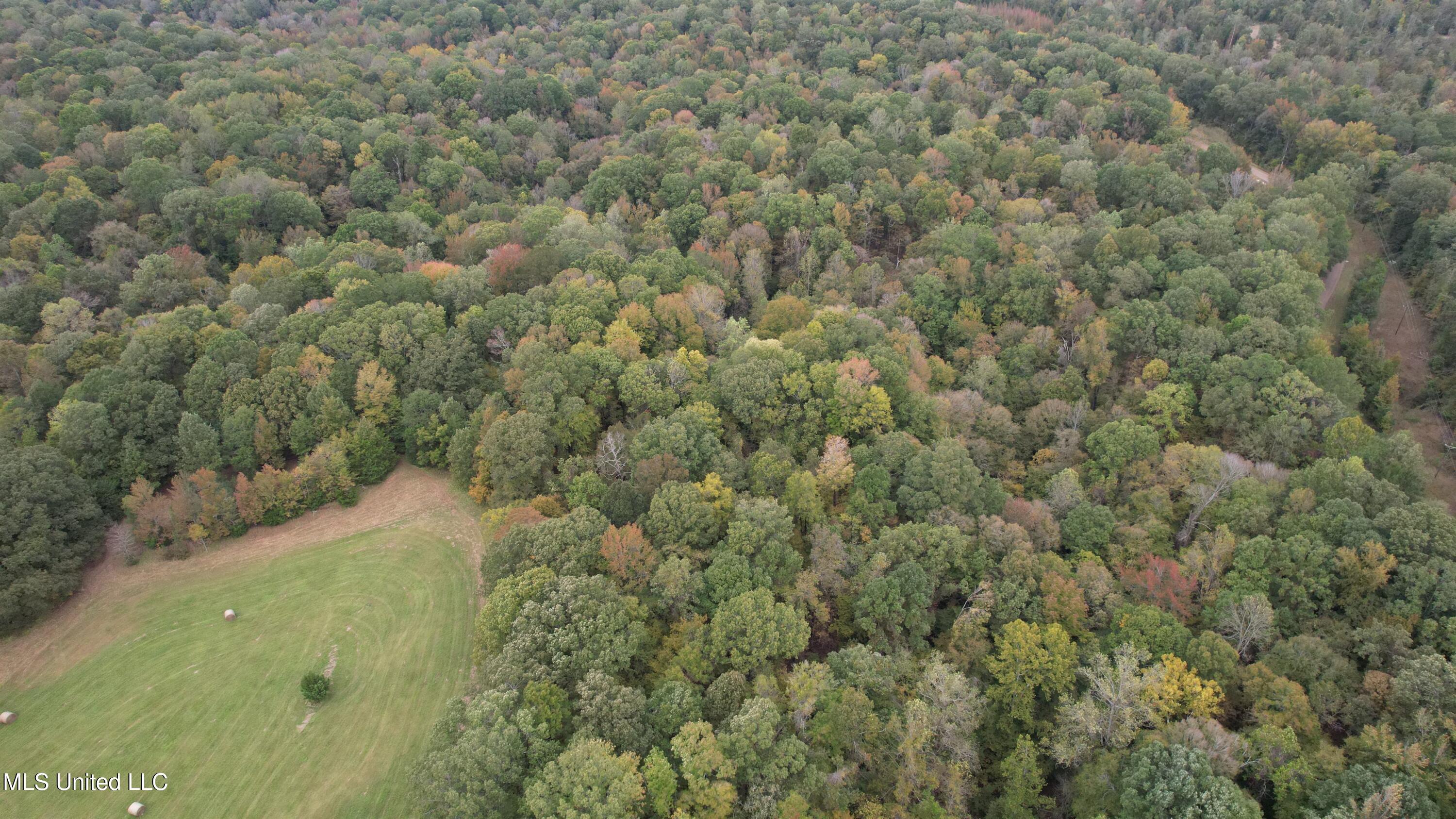 00 Phoenix Road Property Photo 28