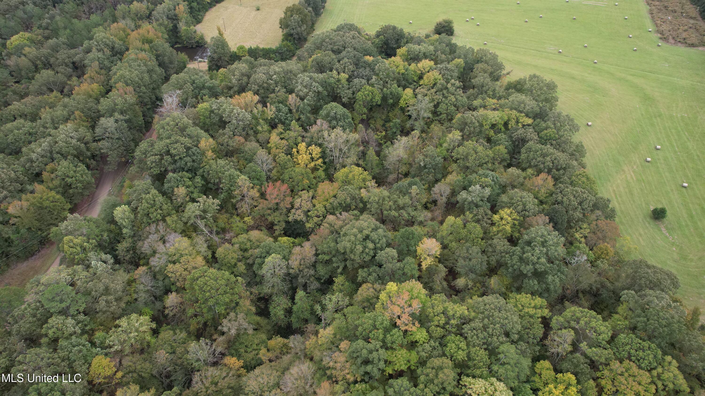 00 Phoenix Road Property Photo 30