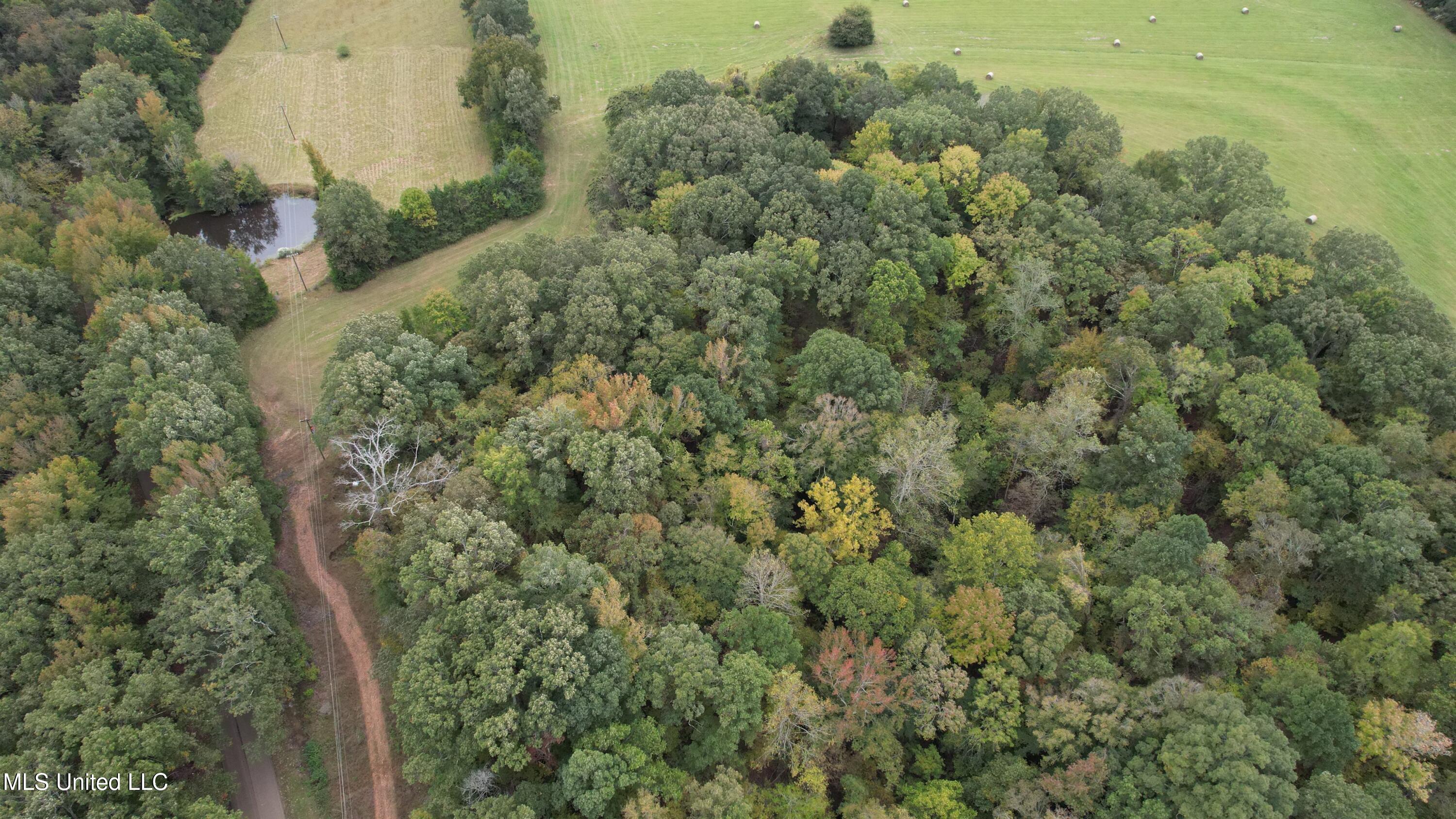 00 Phoenix Road Property Photo 31