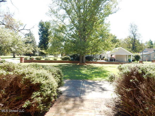 203 Scott Street Property Photo 10