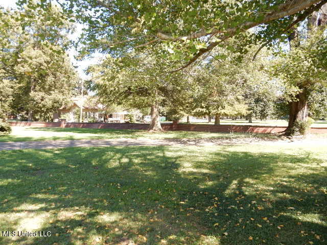 203 Scott Street Property Photo 11