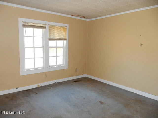 203 Scott Street Property Photo 23