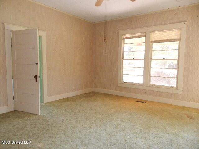 203 Scott Street Property Photo 28