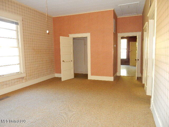 203 Scott Street Property Photo 36