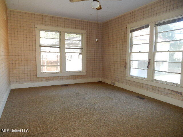 203 Scott Street Property Photo 37