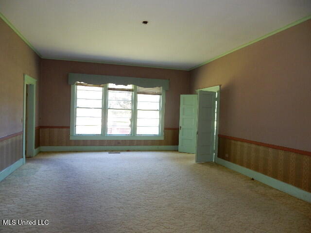 203 Scott Street Property Photo 39