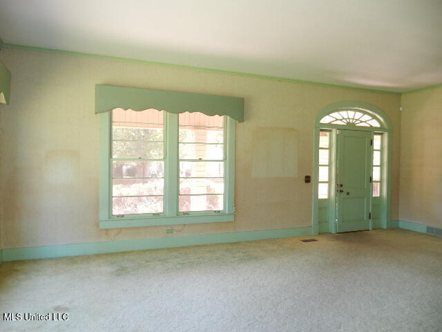 203 Scott Street Property Photo 41