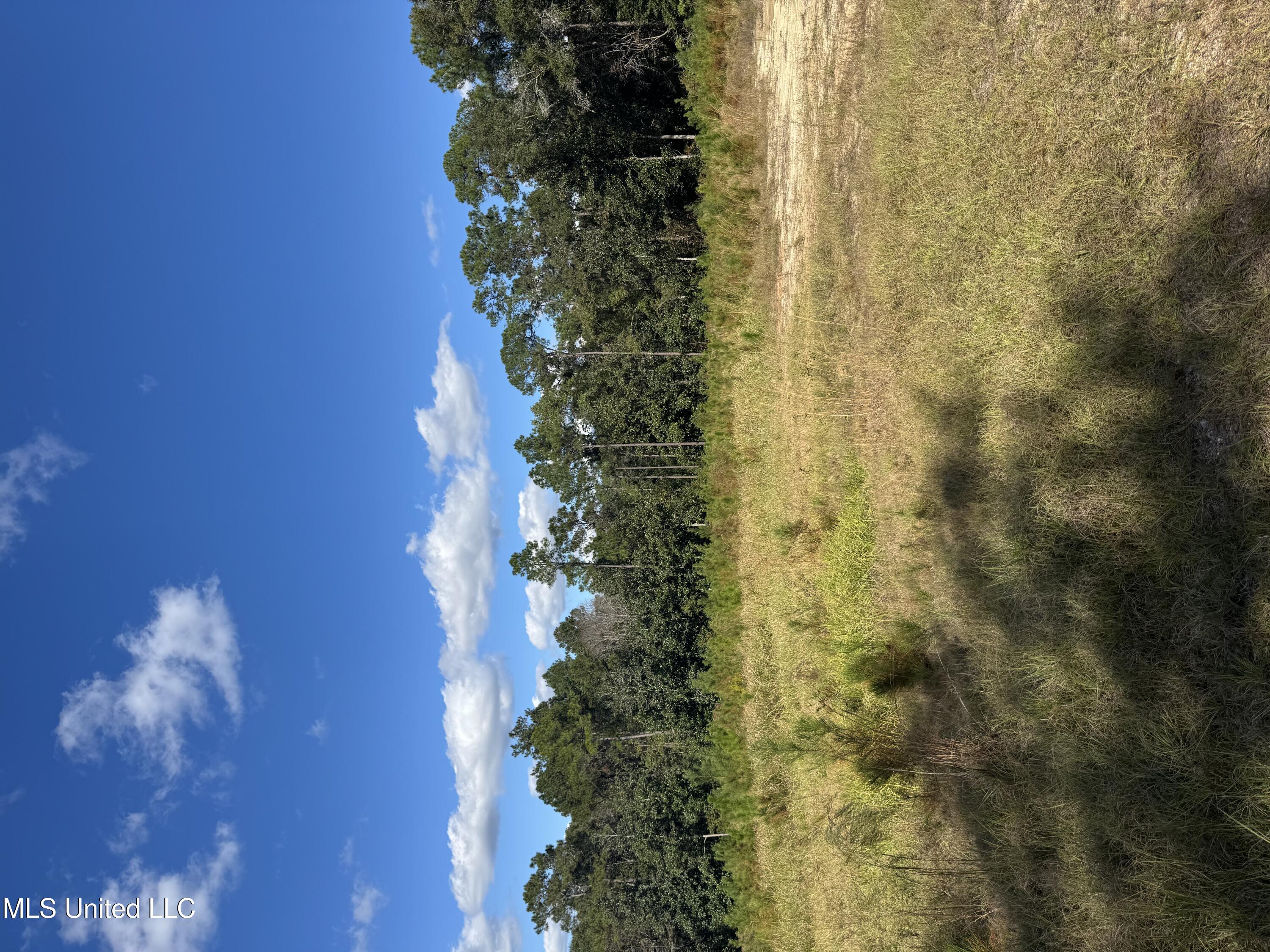 13350 Wash Fayard Road Property Photo 1