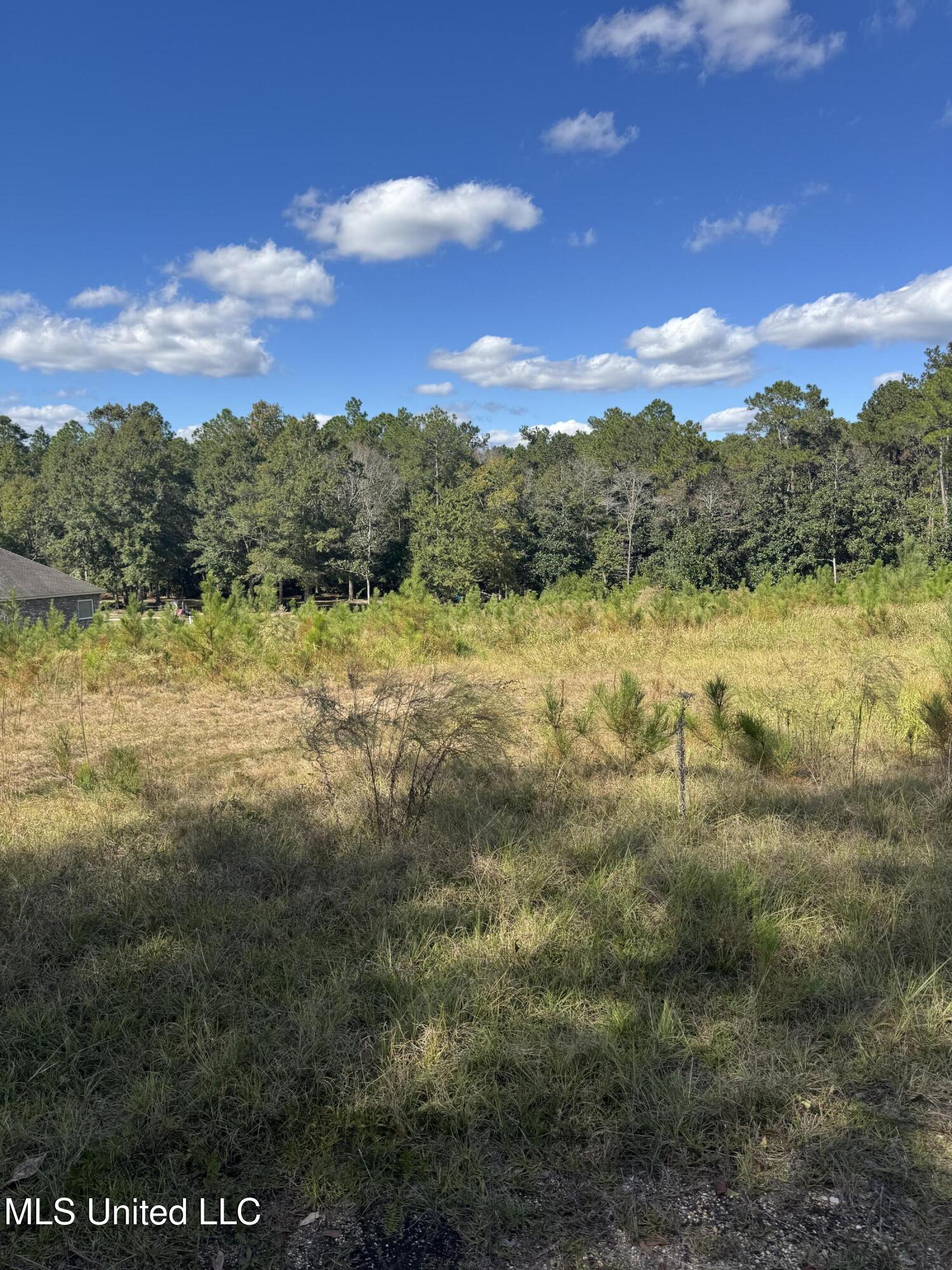 13350 Wash Fayard Road Property Photo 2