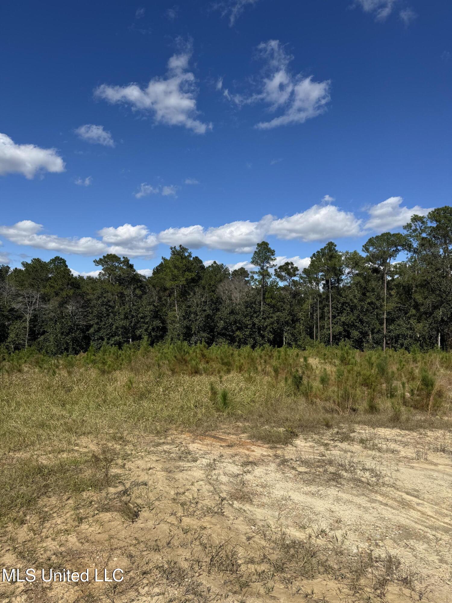 13350 Wash Fayard Road Property Photo 5