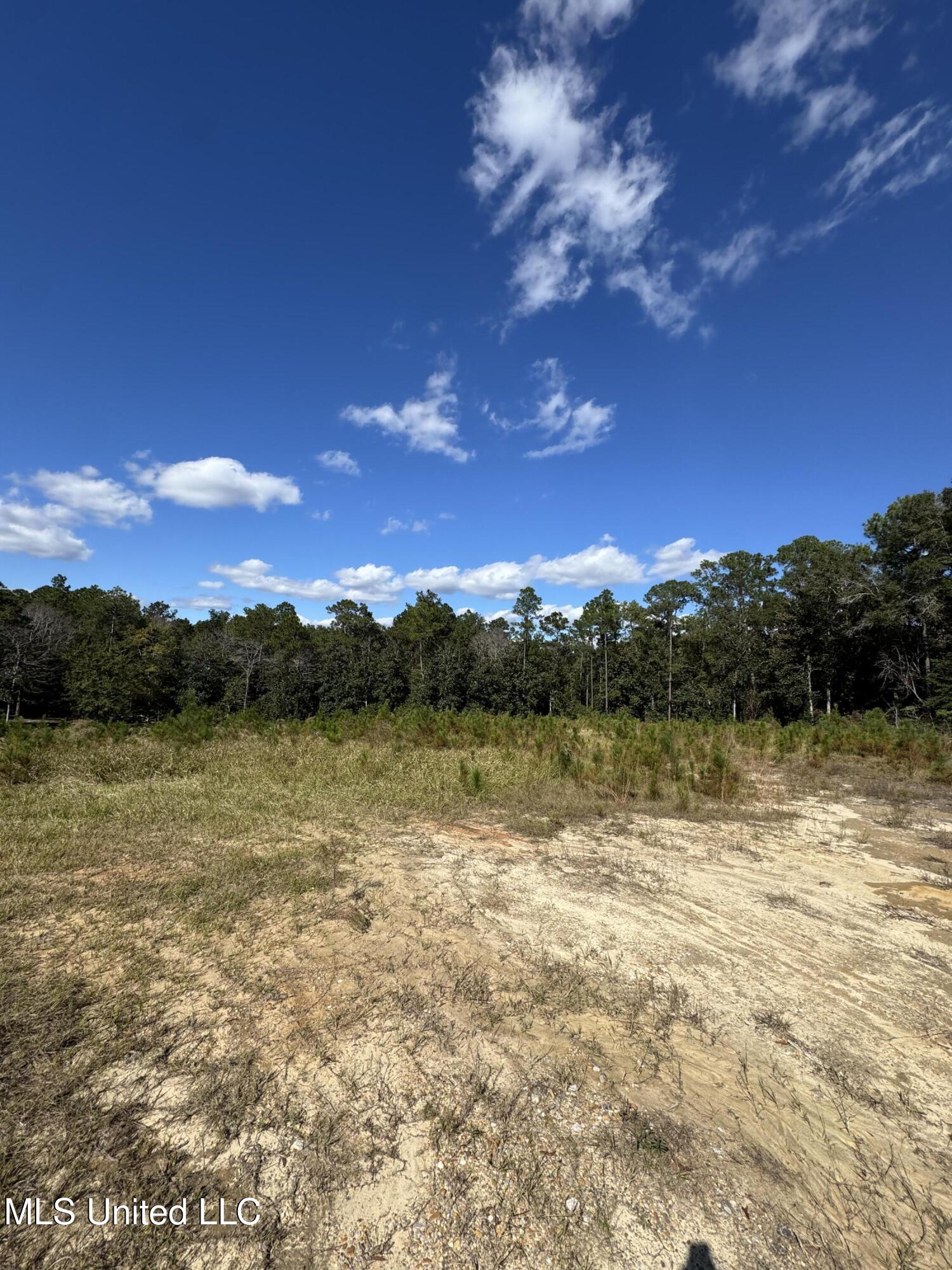 13350 Wash Fayard Road Property Photo 6