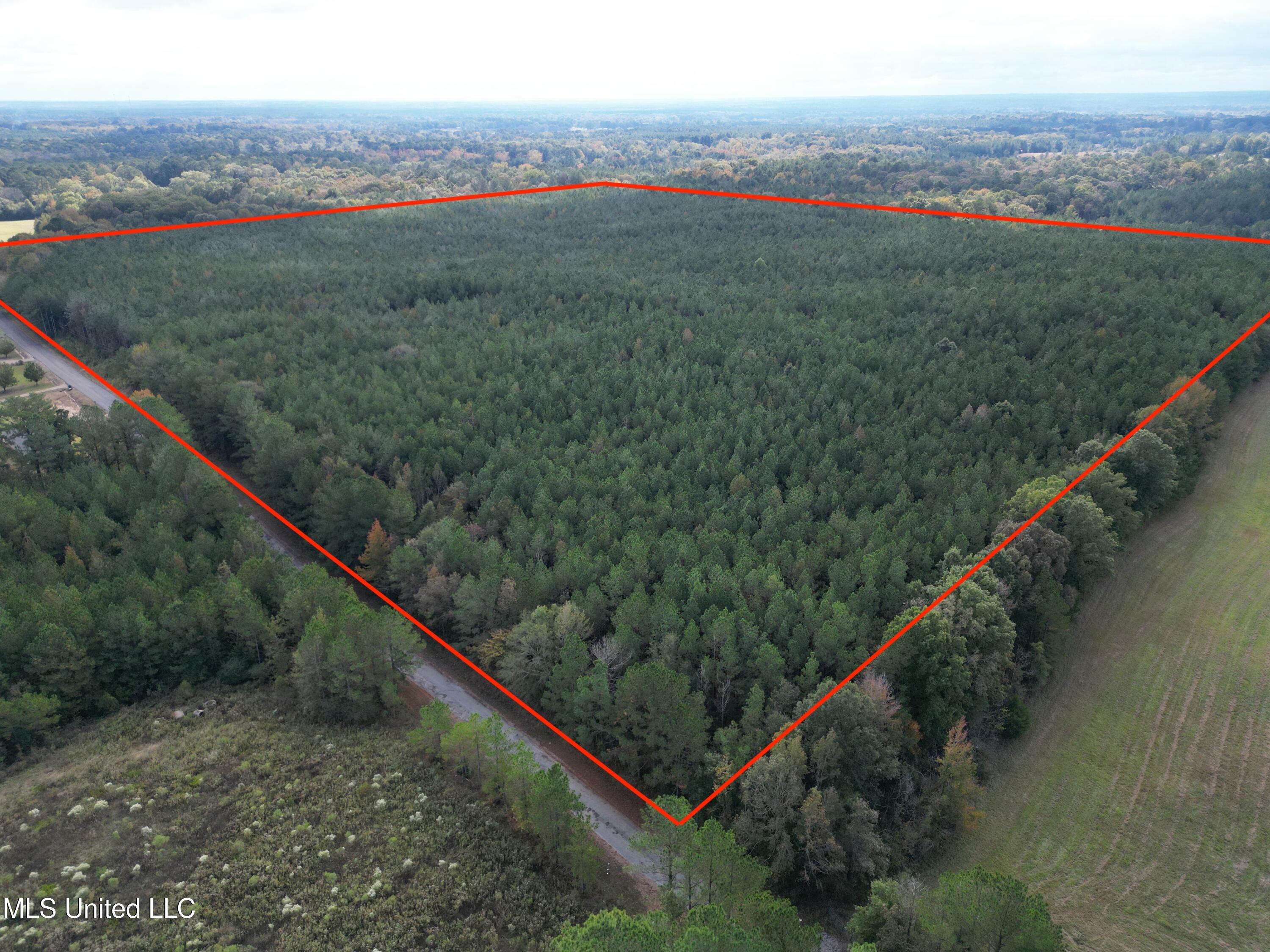 Red Water Road Property Photo 1