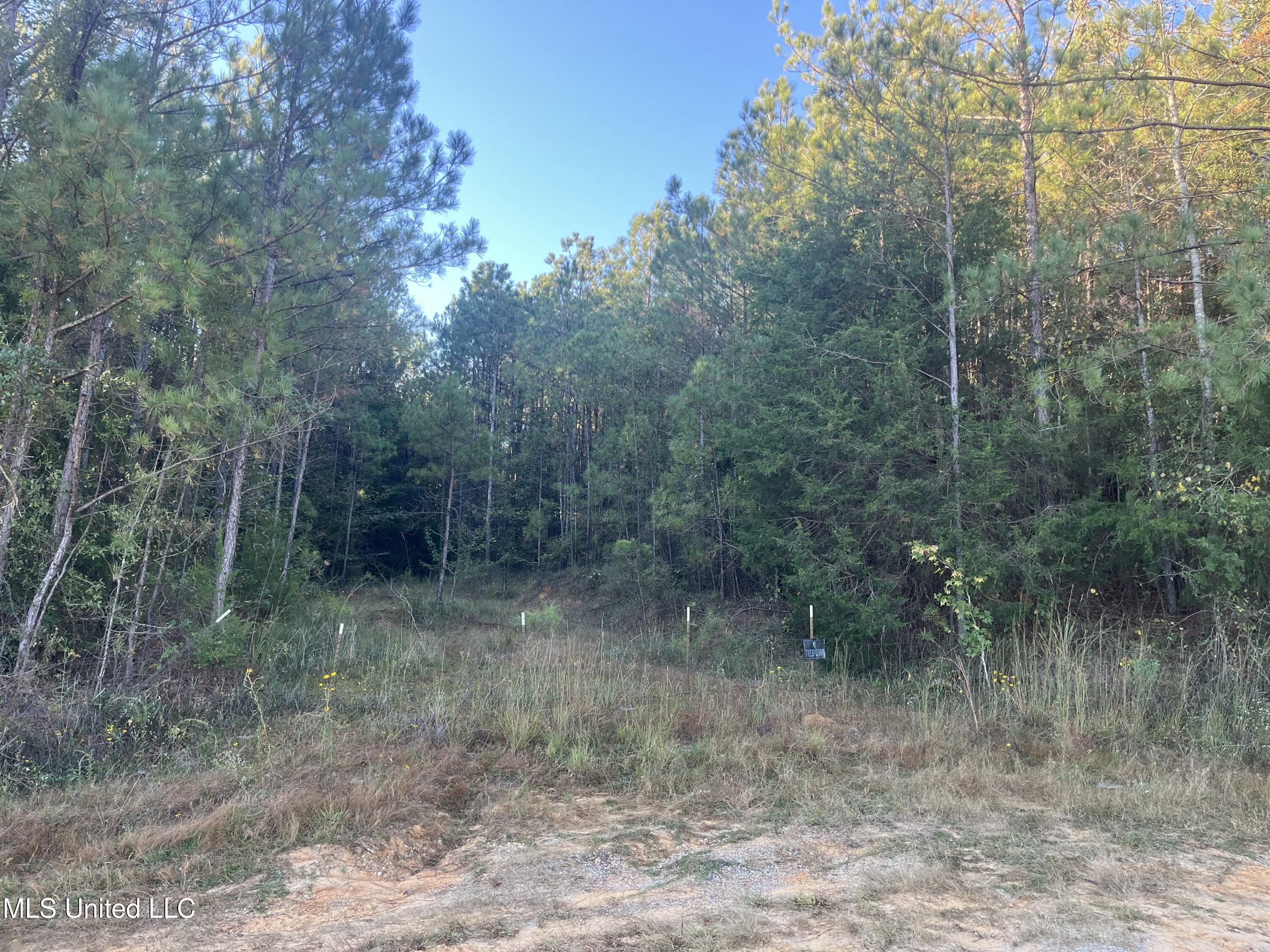 Red Water Road Property Photo 8