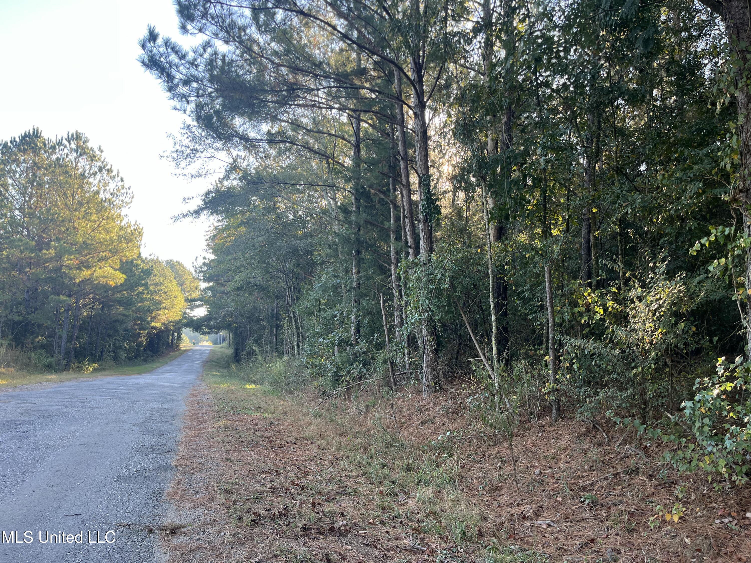 Red Water Road Property Photo 9