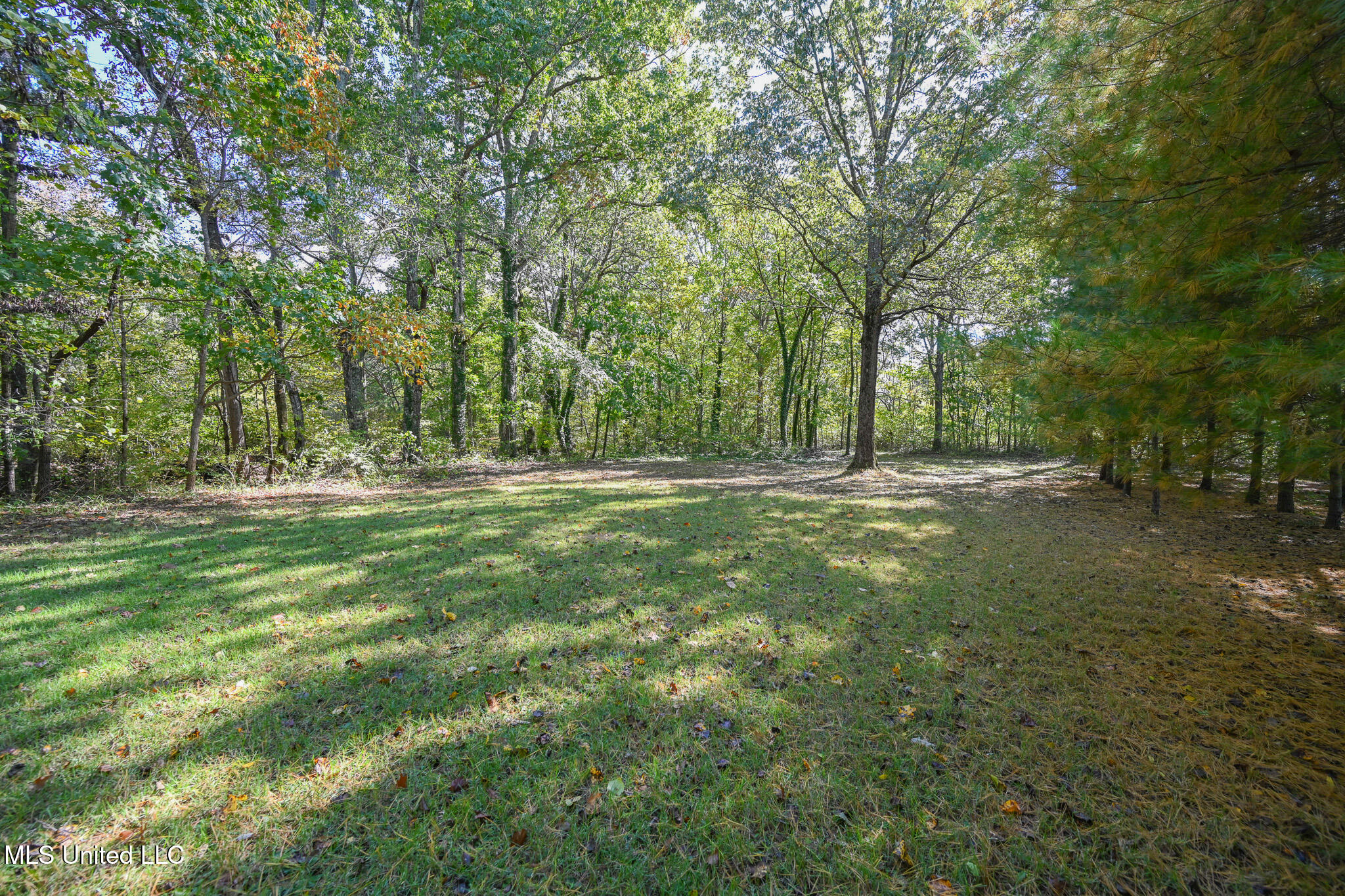 20 James Black Road Property Photo 38