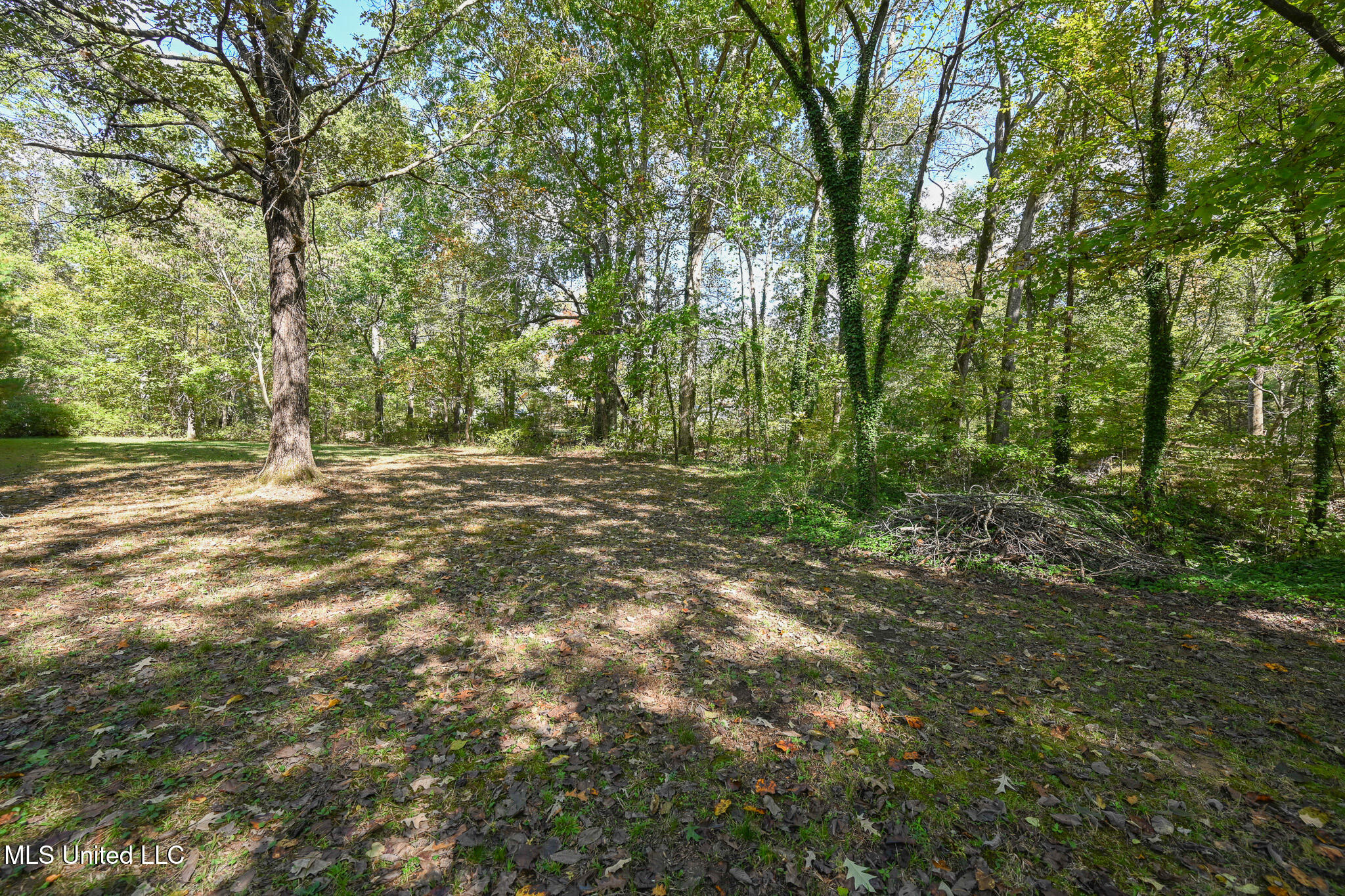 20 James Black Road Property Photo 39