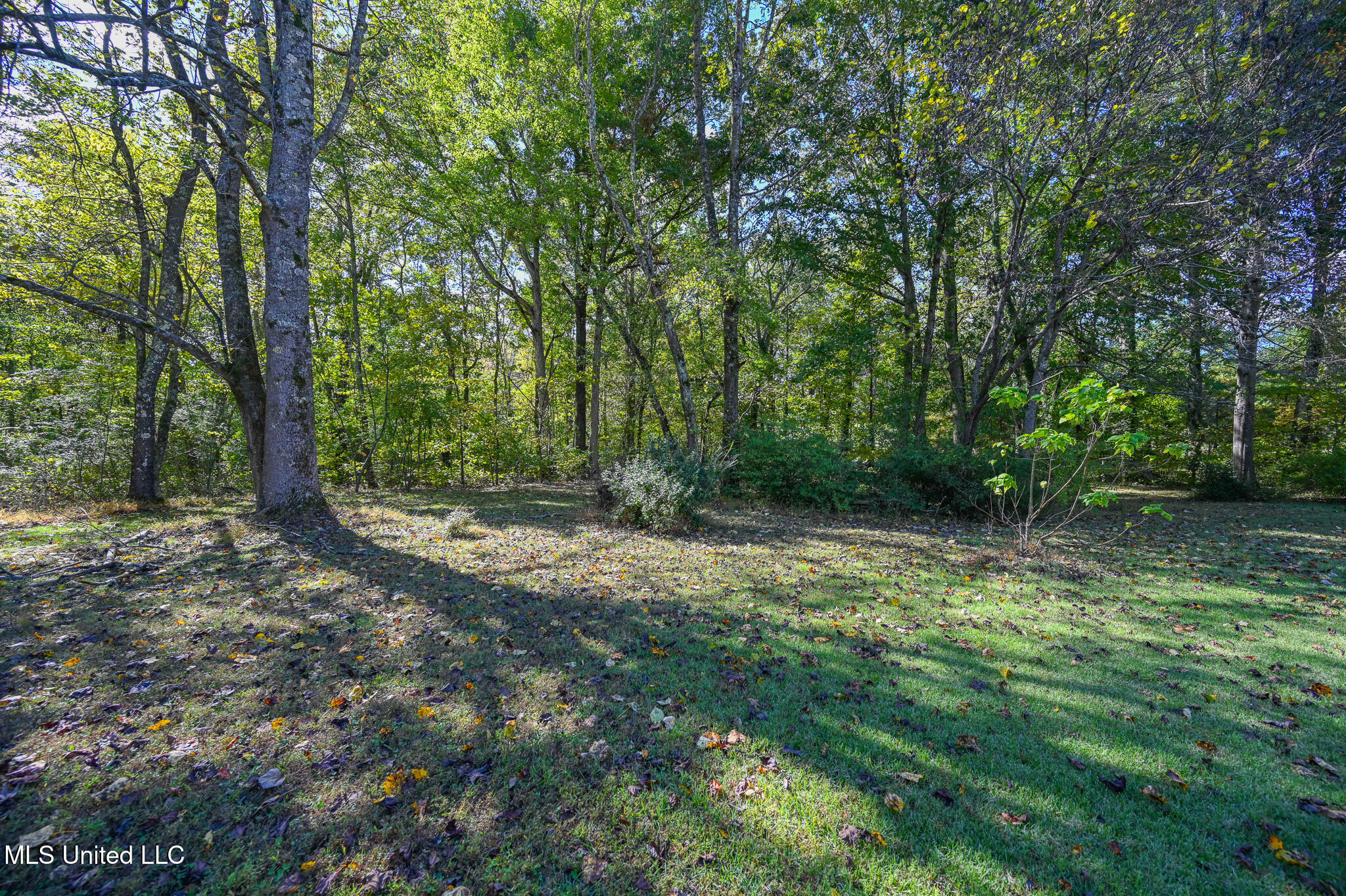 20 James Black Road Property Photo 51